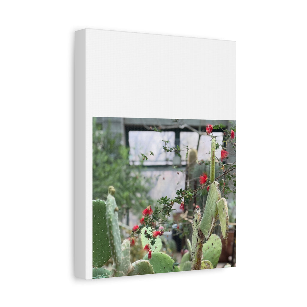 Cactus Wall Art Print, Nature Home Decor, Bohemian Style Artwork, Botanical Gift, Succulent Canvas