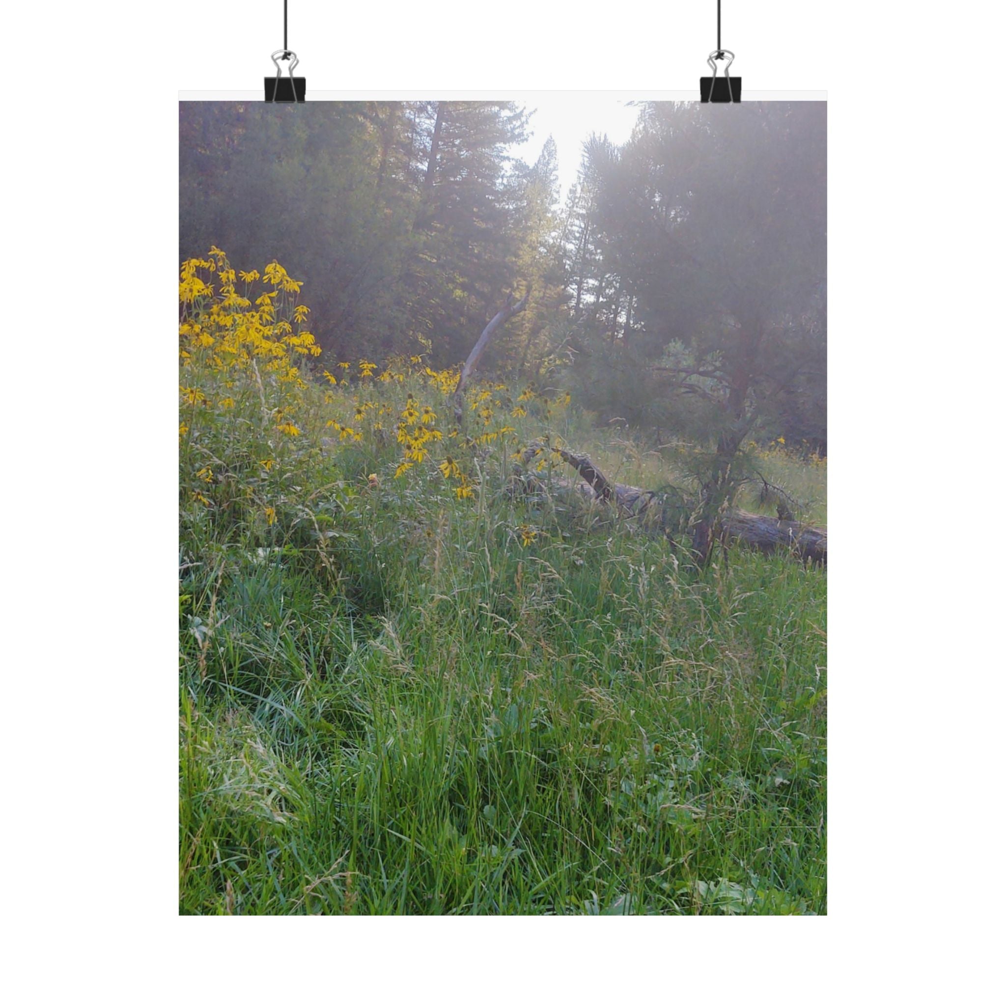 Nature-Inspired Matte Vertical Posters, Floral Art Print, Wall Decor, Home Aesthetic, Cottage Core Decor, Boho Wall Art