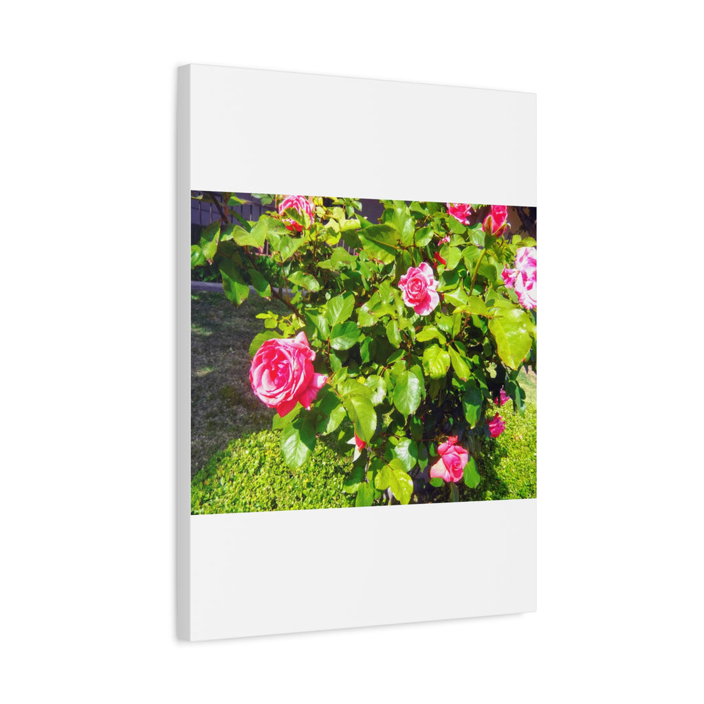 Floral Canvas Wall Art, Pink Rose Decor, Home Gallery Piece, Flower Photography, Garden Wall Decor, Floral Print