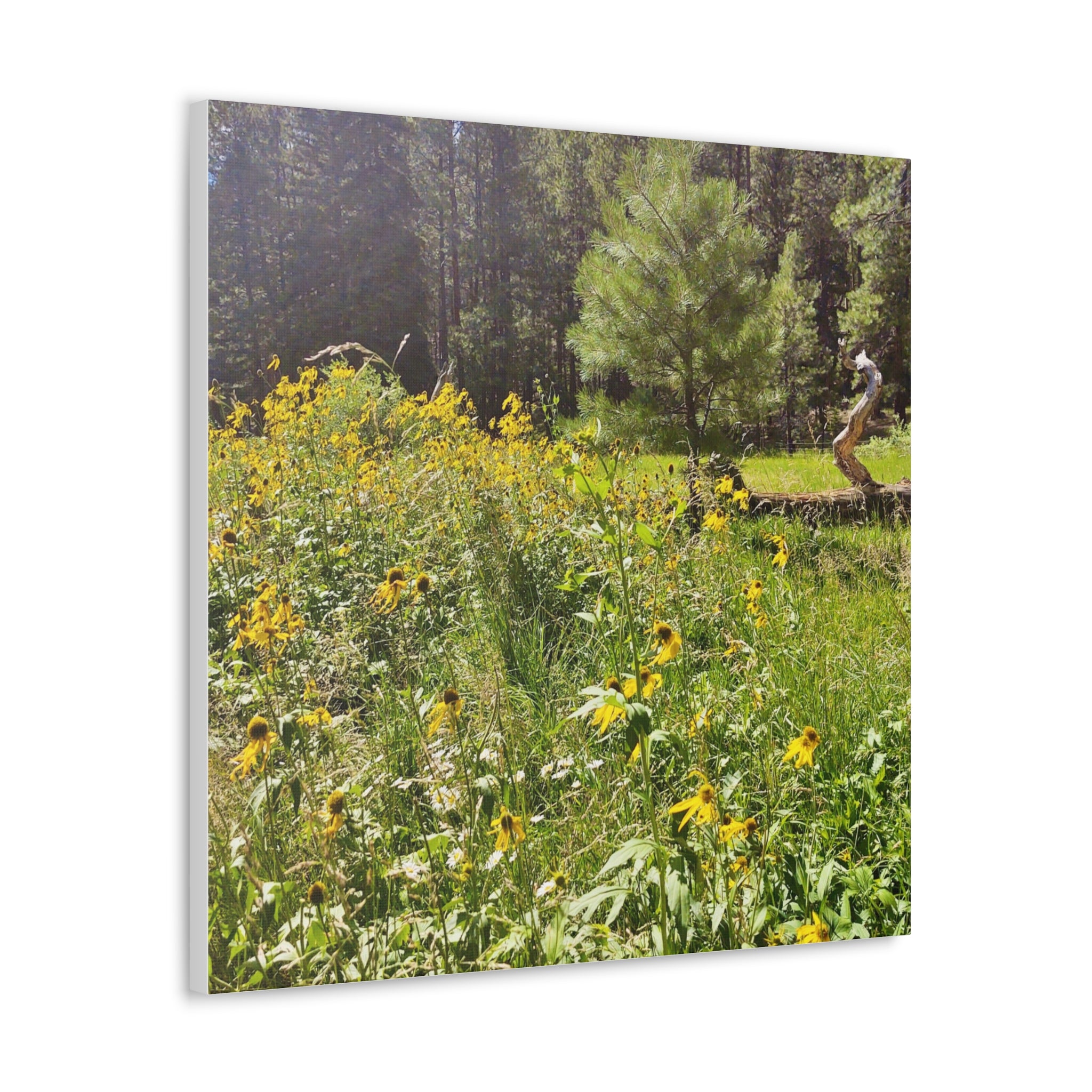 Canvas Wall Art, Nature Photography Decor, Floral Home Decor, Greenery Art Print, Gift for Nature Lovers