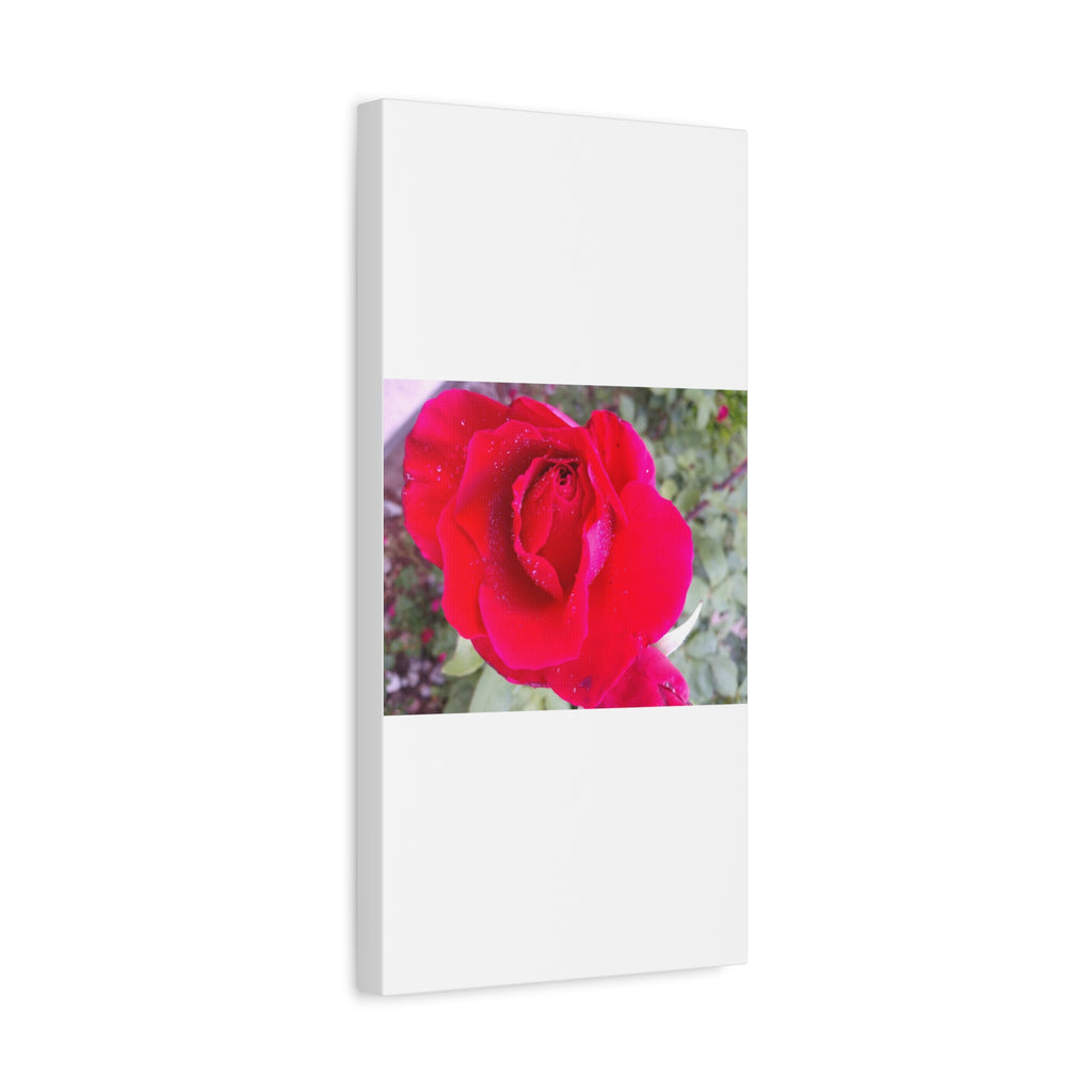 Vibrant Floral Canvas Art, Elegant Wall Decor, Perfect for Home, Gifts, Mother's Day, and Weddings