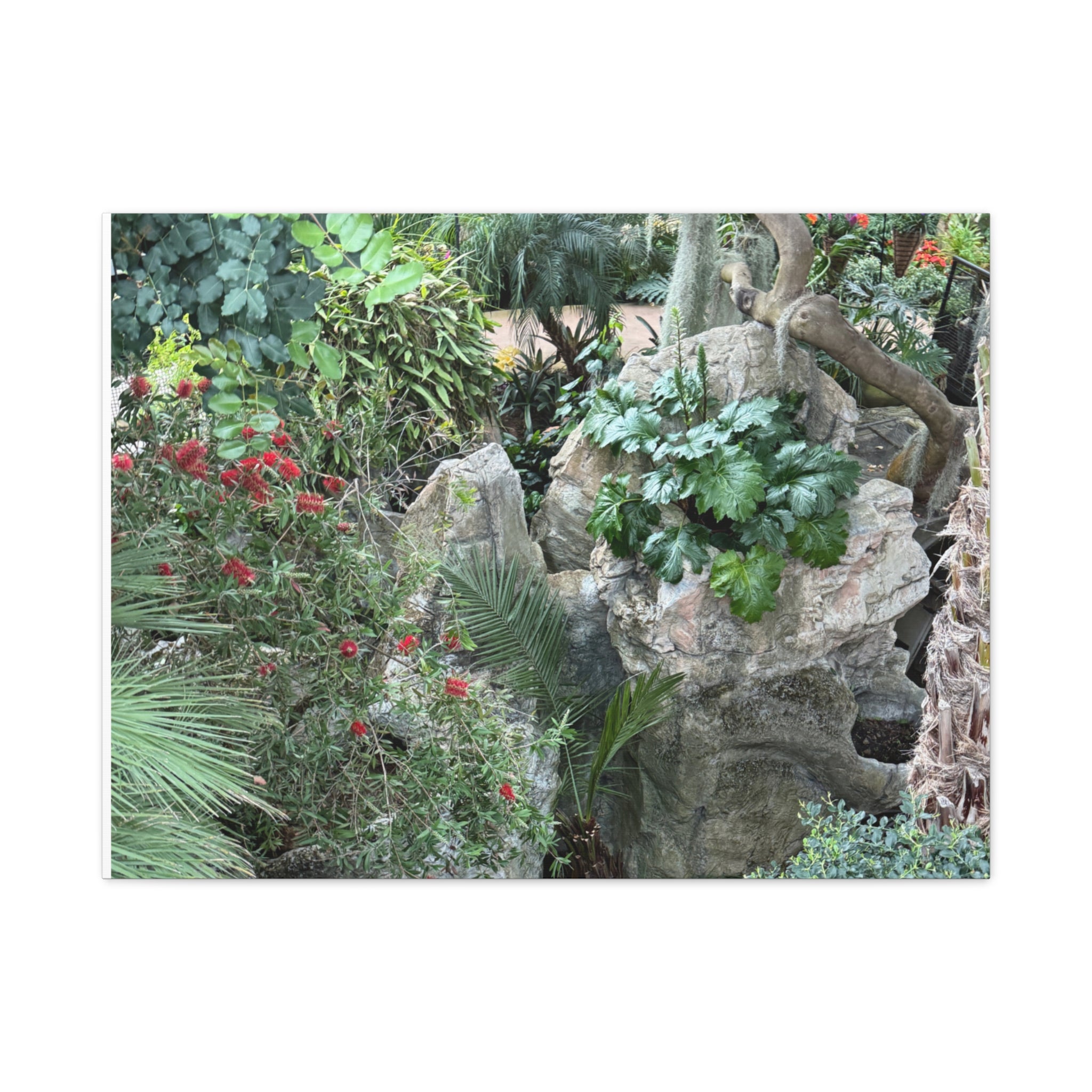 Nature-Inspired Wall Art, Canvas Print, Botanical Decor for Home, Greenery Art, Gift for Nature Lovers, Eco-Friendly Decoration