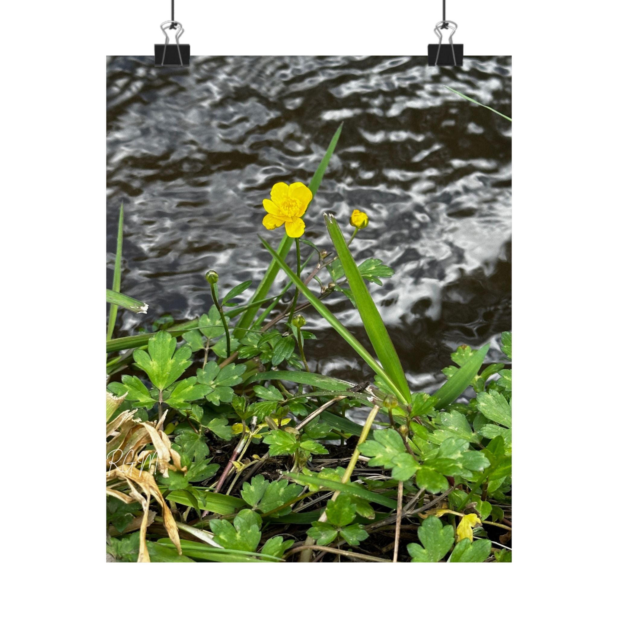 Nature-Inspired Matte Vertical Posters | Vibrant Floral Art for Home Decor, Gift for Nature Lovers, Wall Art, Eco-Friendly Decor