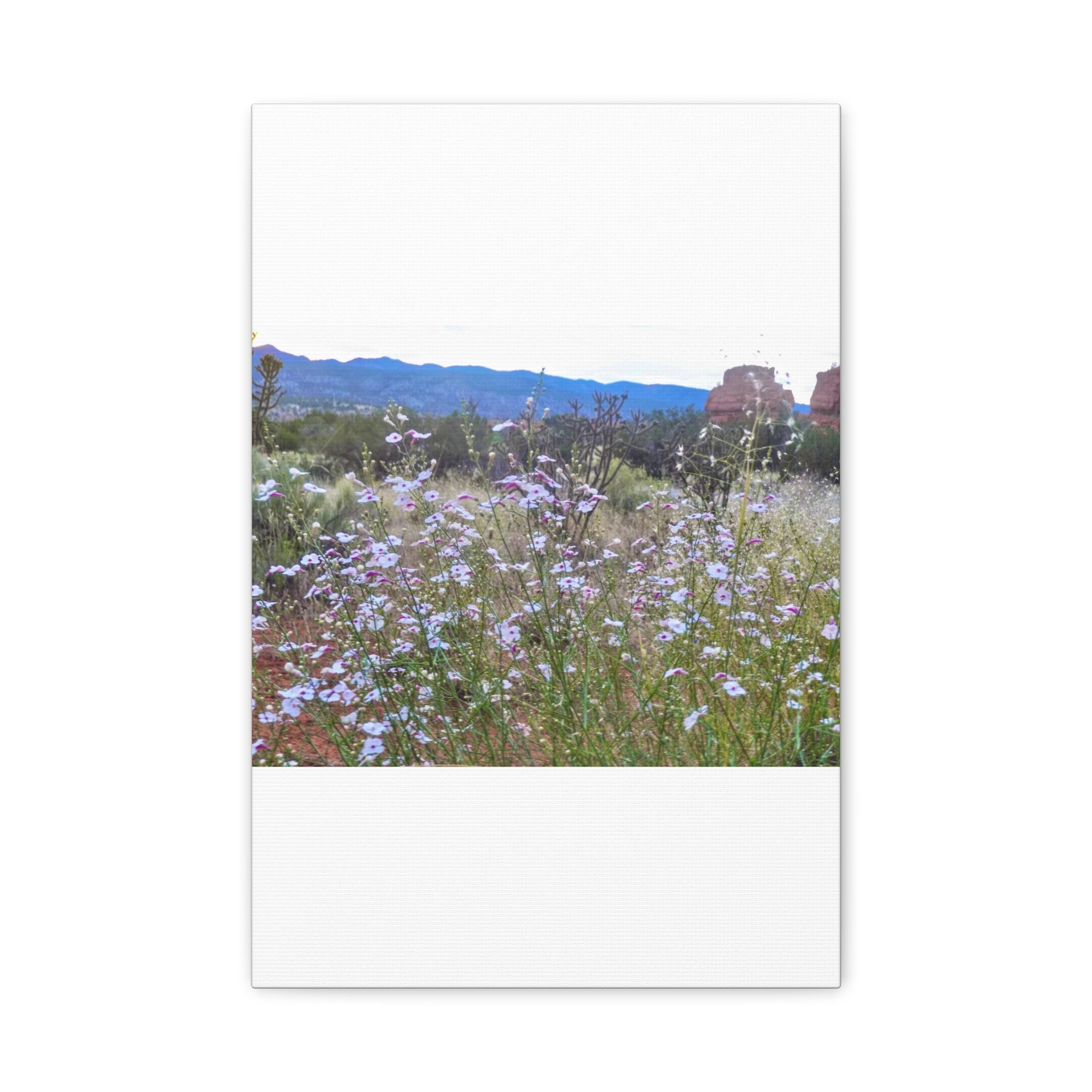 Floral Canvas Art Print, Nature Decor for Home, Wall Art for Office, Gift for Garden Lovers, Botanical Wall Decor, Spring Vibes