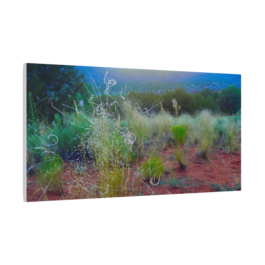 Stretched Canvas Art Print, Nature Wall Decor, Boho Home Decor, Rustic Landscape Art, Gift for Nature Lovers