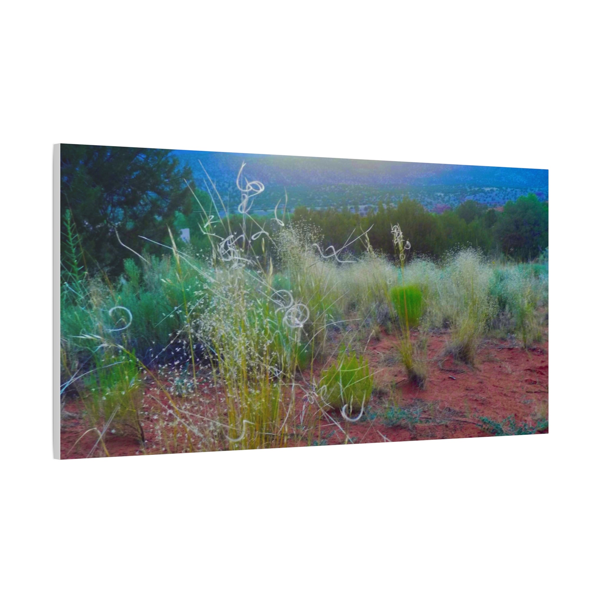 Stretched Canvas Art Print, Nature Wall Decor, Boho Home Decor, Rustic Landscape Art, Gift for Nature Lovers