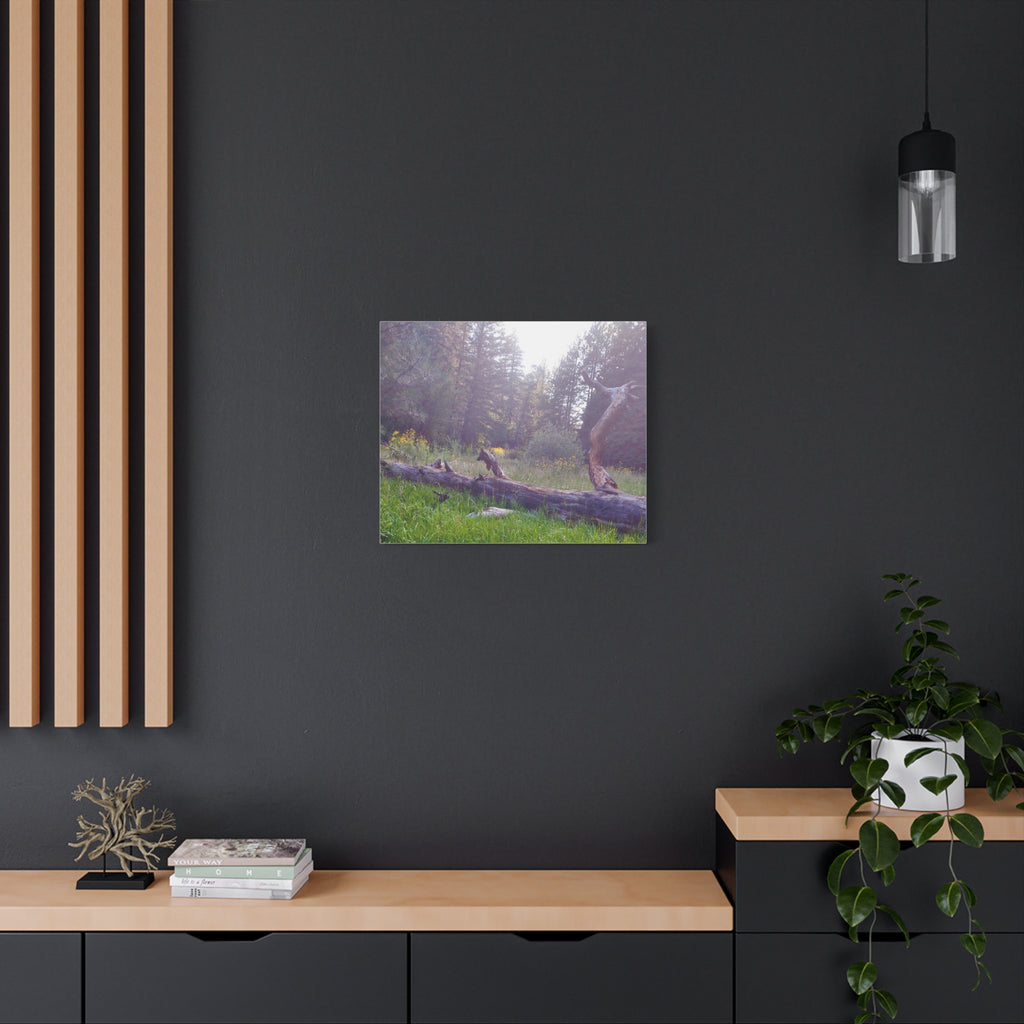 Matte Canvas Wall Art - Serene Nature Scene, Perfect for Home Decor, Gift for Nature Lovers, Office Wall Decoration, Rustic Art Print