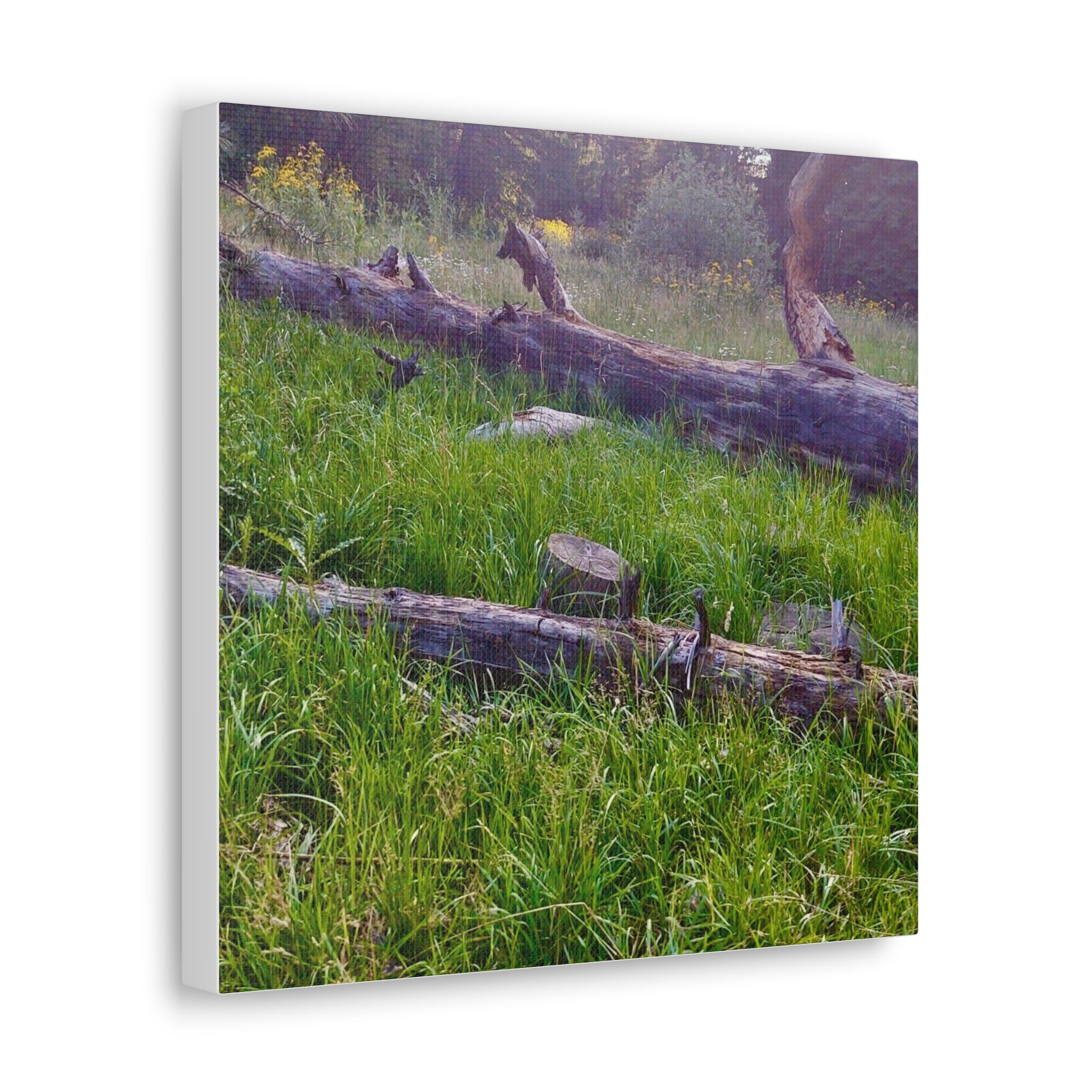 Classic Canvas Wall Art - Nature Decor, Outdoor Wall Hanging, Home Aesthetic, Gift for Nature Lovers, Rustic Cabin Decor