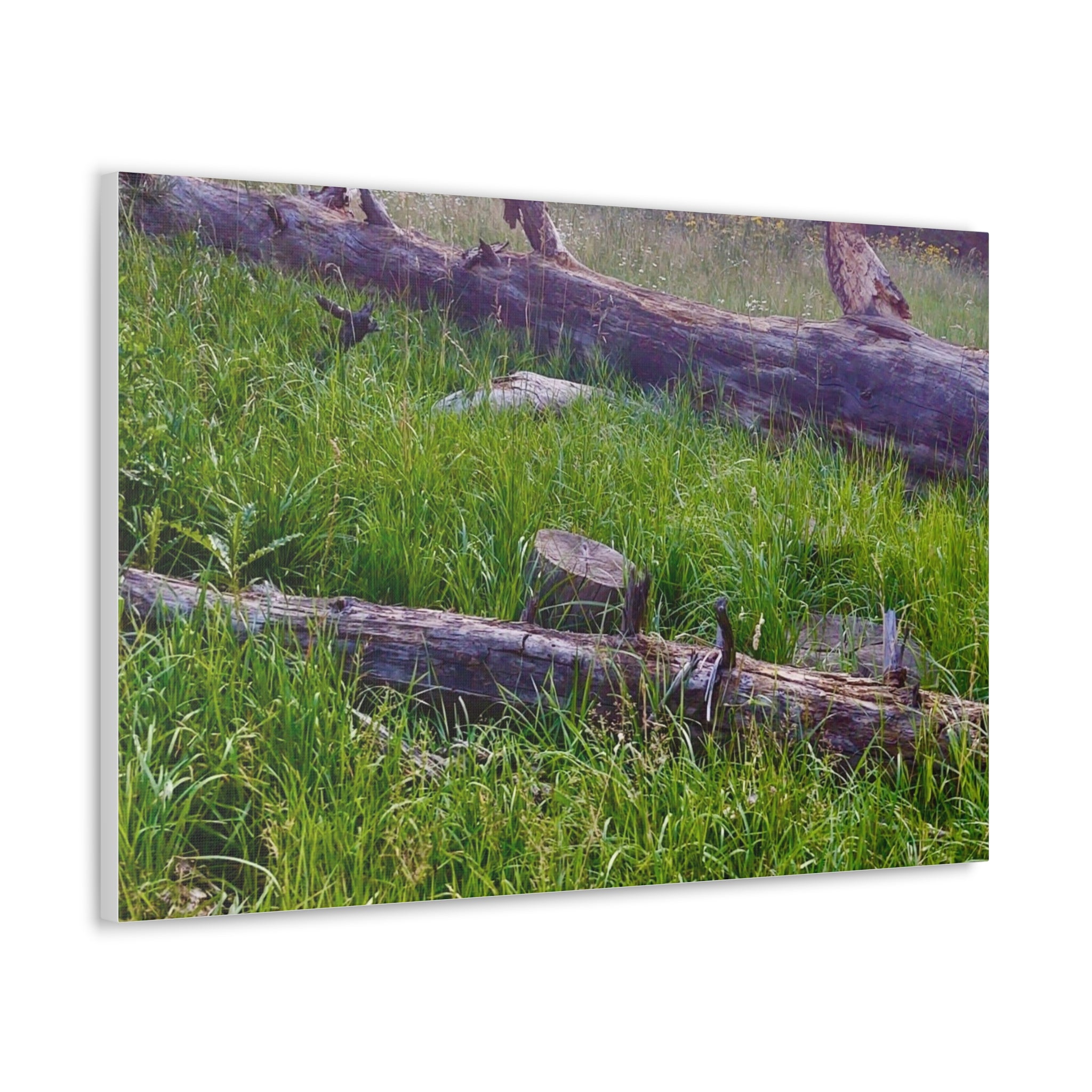 Classic Canvas Wall Art - Nature Decor, Outdoor Wall Hanging, Home Aesthetic, Gift for Nature Lovers, Rustic Cabin Decor