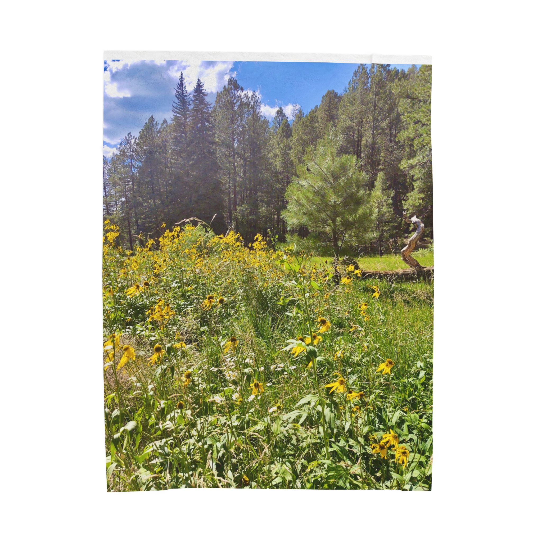 Cozy Velveteen Plush Blanket for Nature Lovers, Soft Throw, Perfect Gift for Home Decor, Warm Blanket for Camping, Picnics, Outdoor Comfort