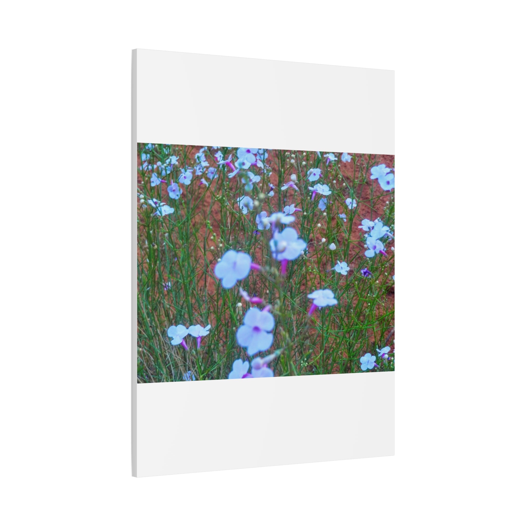 Floral Canvas Wall Art, Home Decor, Wall Hanging, Gift Idea, Nature Art, Flower Print