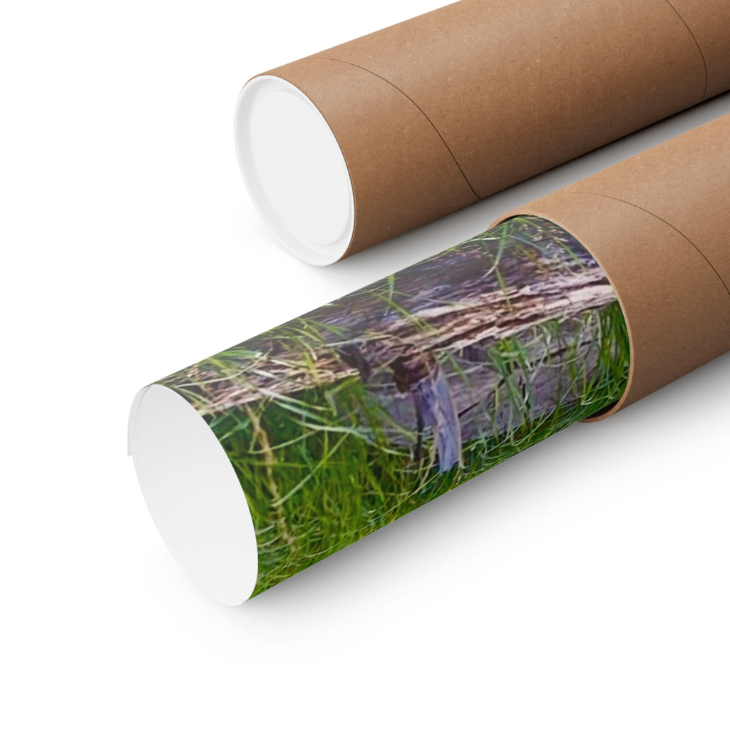 Nature-Inspired Matte Vertical Posters, Wall Art Decor, Forest Photo Prints, Home Aesthetic, Gift for Nature Lovers