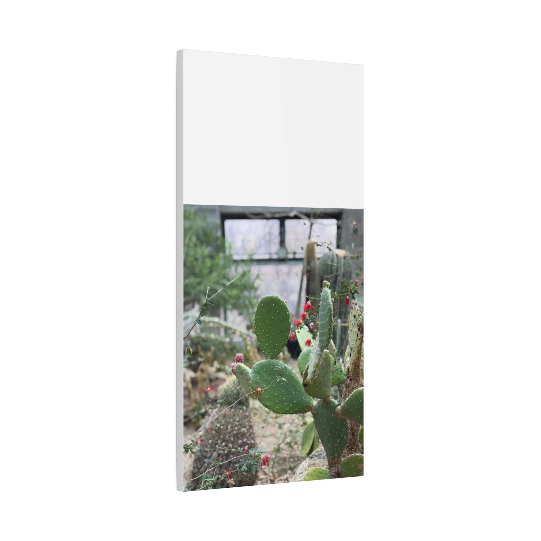 Cactus Matte Canvas Wall Art, Nature Decor, Southwestern Room Design, Green Plant Prints, Home and Office Wall Decor