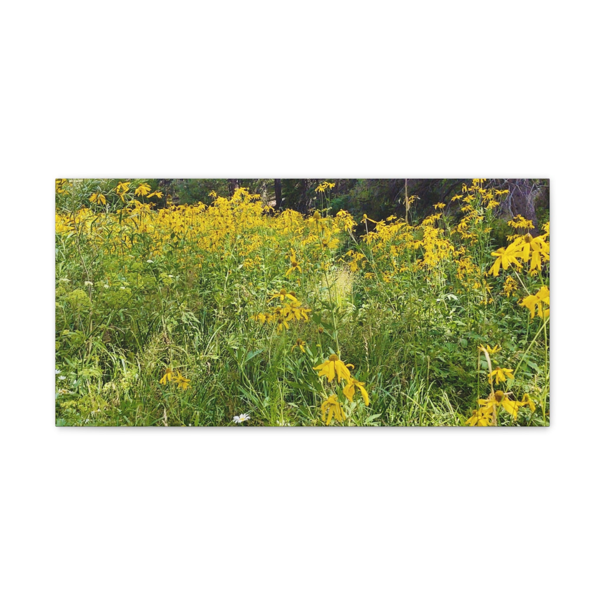 Nature-Inspired Wall Art Print, Classic Canvas Landscape, Floral Forest Decor, Home Wall Decoration, Gift for Nature Lovers