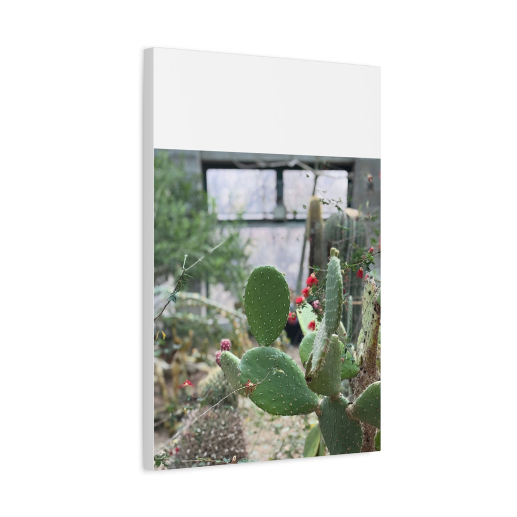 Cactus Matte Canvas Wall Art, Nature Decor, Southwestern Room Design, Green Plant Prints, Home and Office Wall Decor