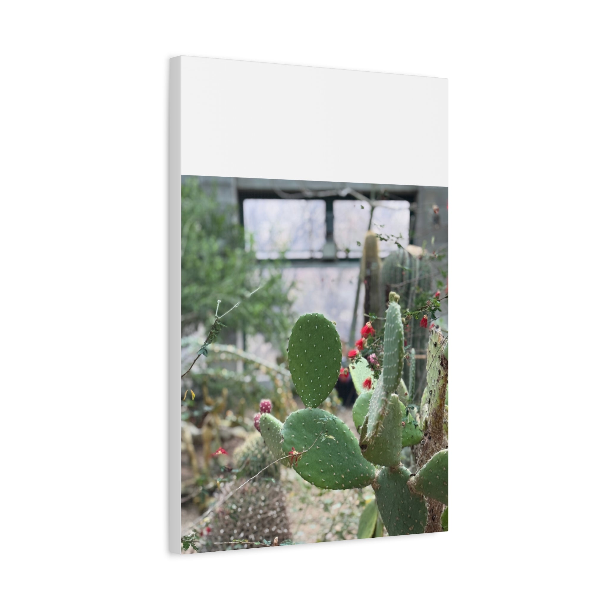 Cactus Matte Canvas Wall Art, Nature Decor, Southwestern Room Design, Green Plant Prints, Home and Office Wall Decor