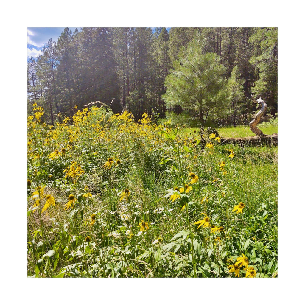 Nature-Inspired Matte Vertical Posters, Floral Wall Art, Home Decor, Gift for Nature Lovers, Botanical Print, Office Decoration