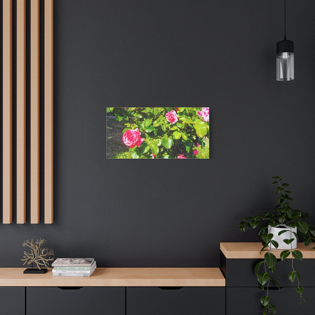 Floral Canvas Wall Art, Pink Rose Decor, Home Gallery Piece, Flower Photography, Garden Wall Decor, Floral Print