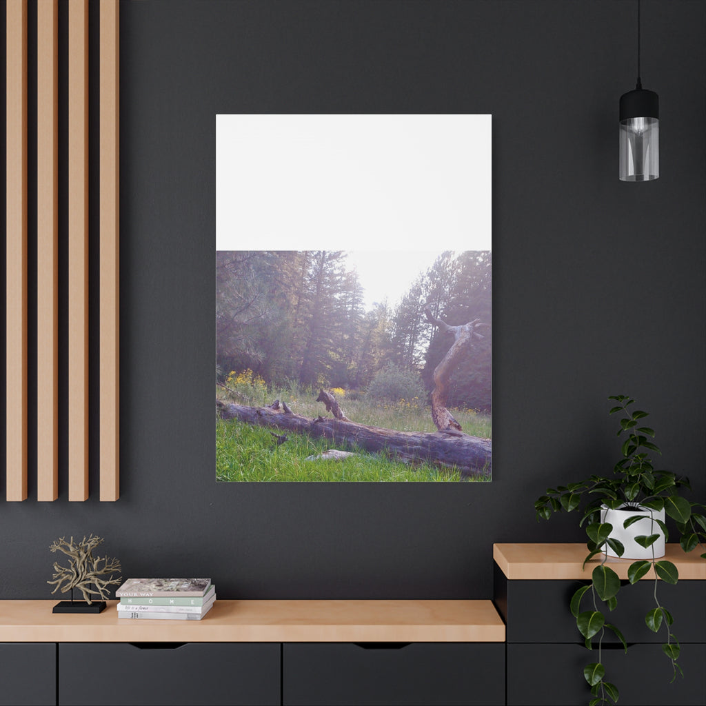 Matte Canvas Wall Art - Serene Nature Scene, Perfect for Home Decor, Gift for Nature Lovers, Office Wall Decoration, Rustic Art Print