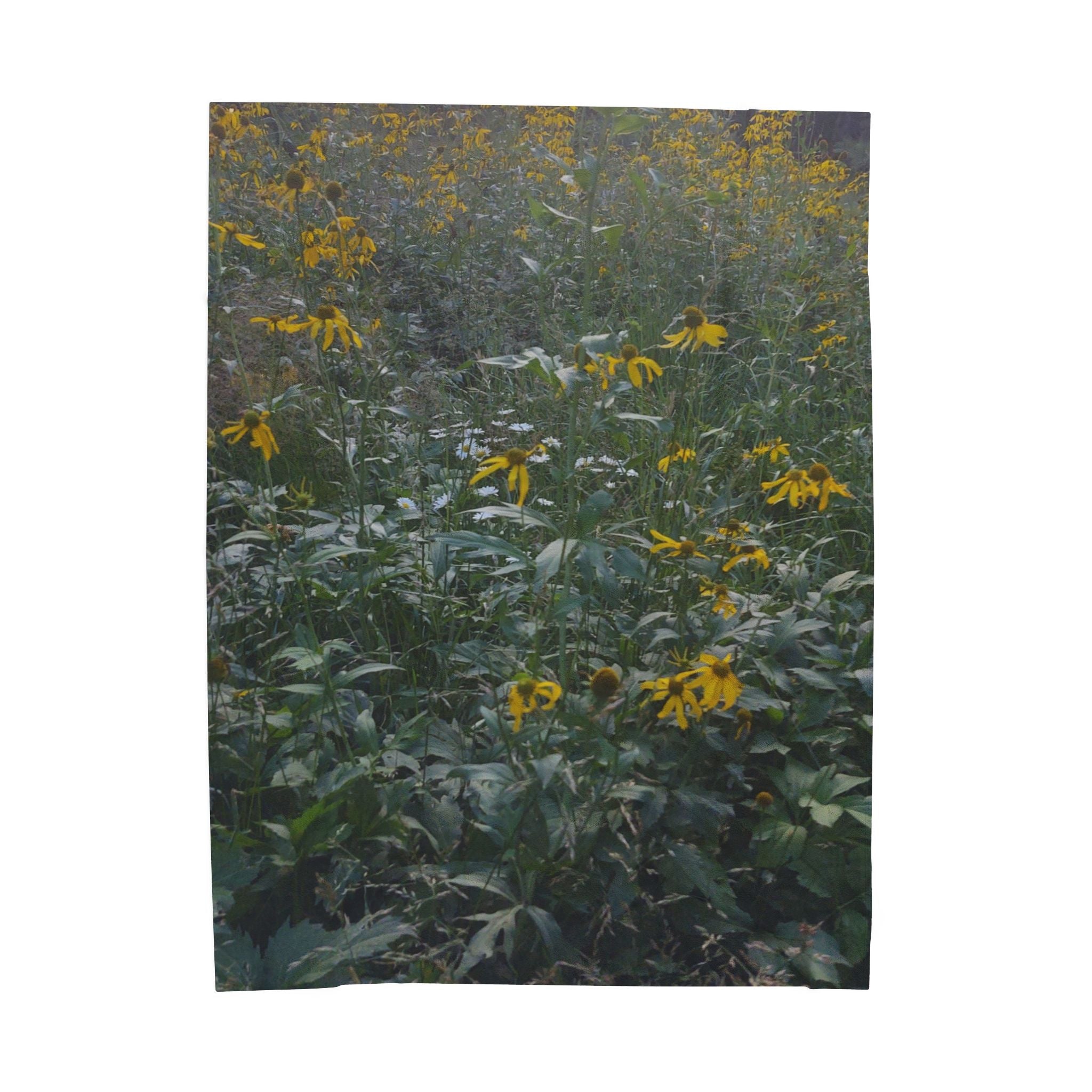 Floral Velveteen Plush Blanket | Cozy Home Decor, Gift for Her, Soft Throw Blanket, Floral Print Blanket, Nature Inspired Decor