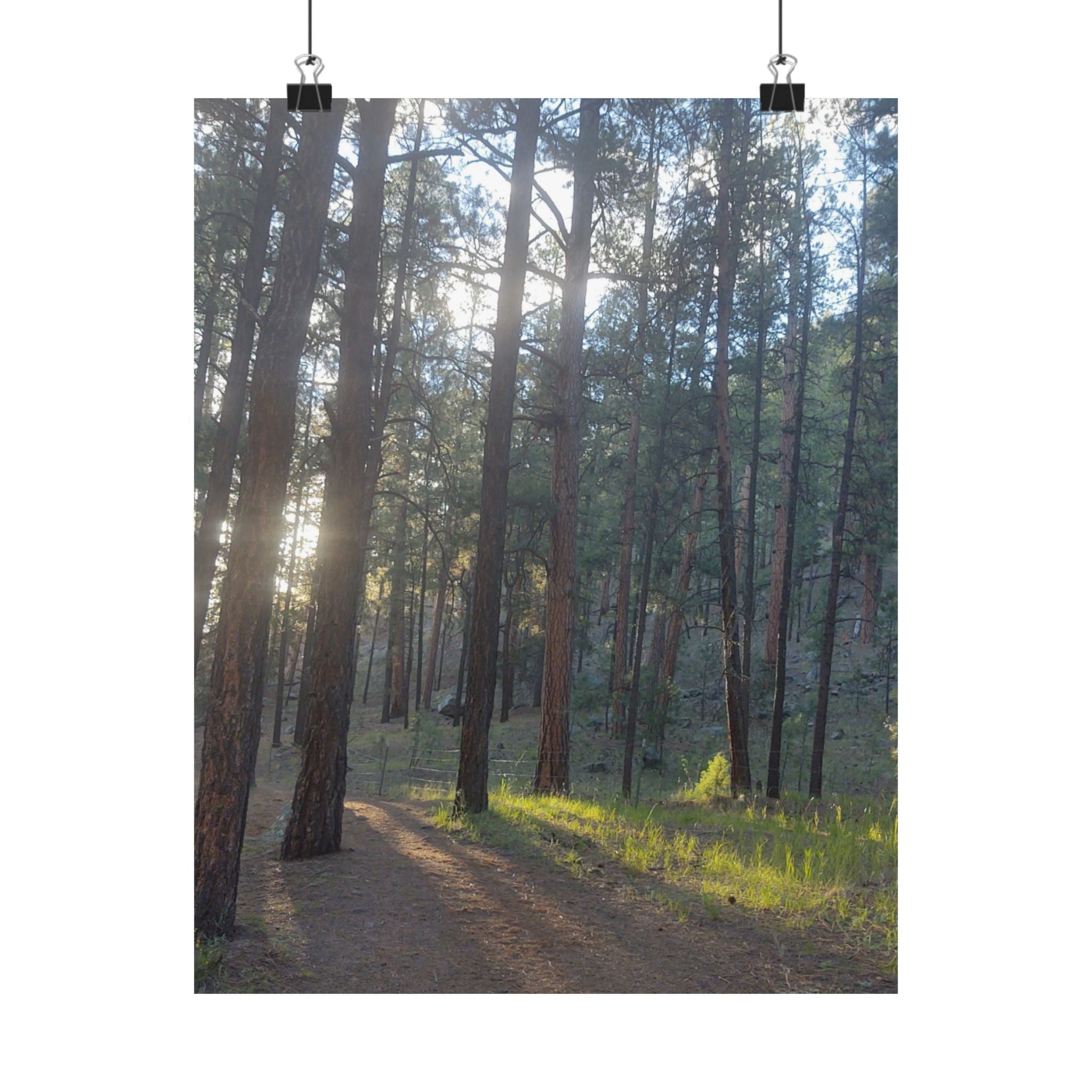 Serene Nature Matte Vertical Posters, Forest Wall Art, Home Decor, Gift Idea, Nature Lover's Decor, Inspirational Art Print