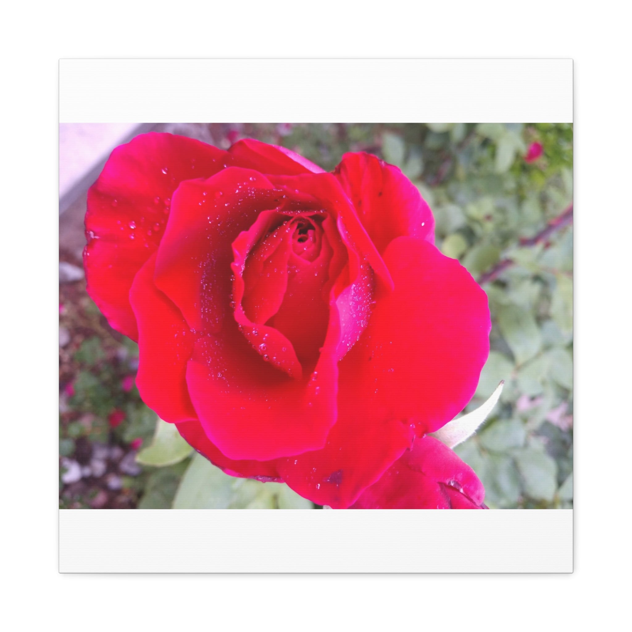 Vibrant Floral Canvas Art, Elegant Wall Decor, Perfect for Home, Gifts, Mother's Day, and Weddings