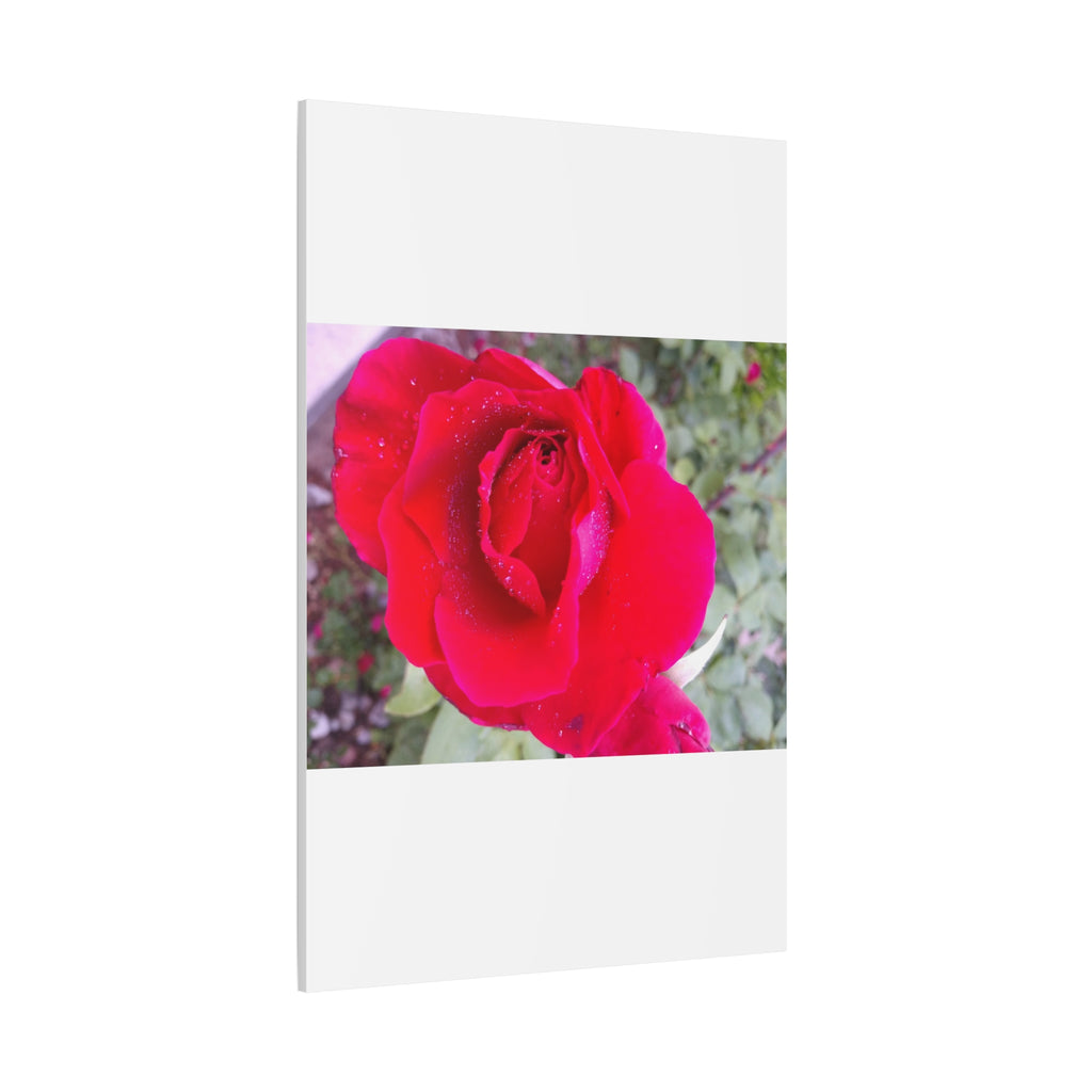 Vibrant Floral Canvas Art, Elegant Wall Decor, Perfect for Home, Gifts, Mother's Day, and Weddings