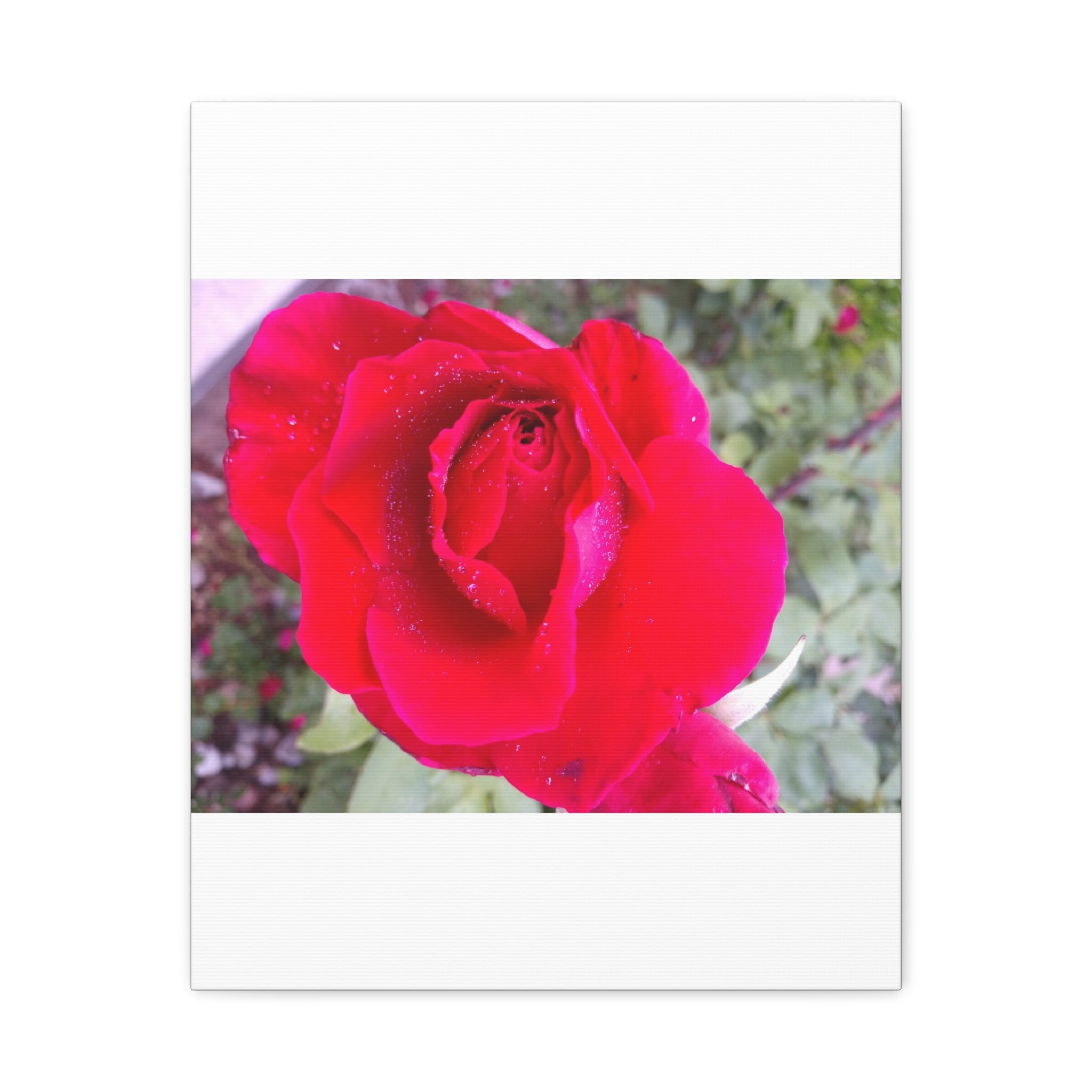 Vibrant Floral Canvas Art, Elegant Wall Decor, Perfect for Home, Gifts, Mother's Day, and Weddings