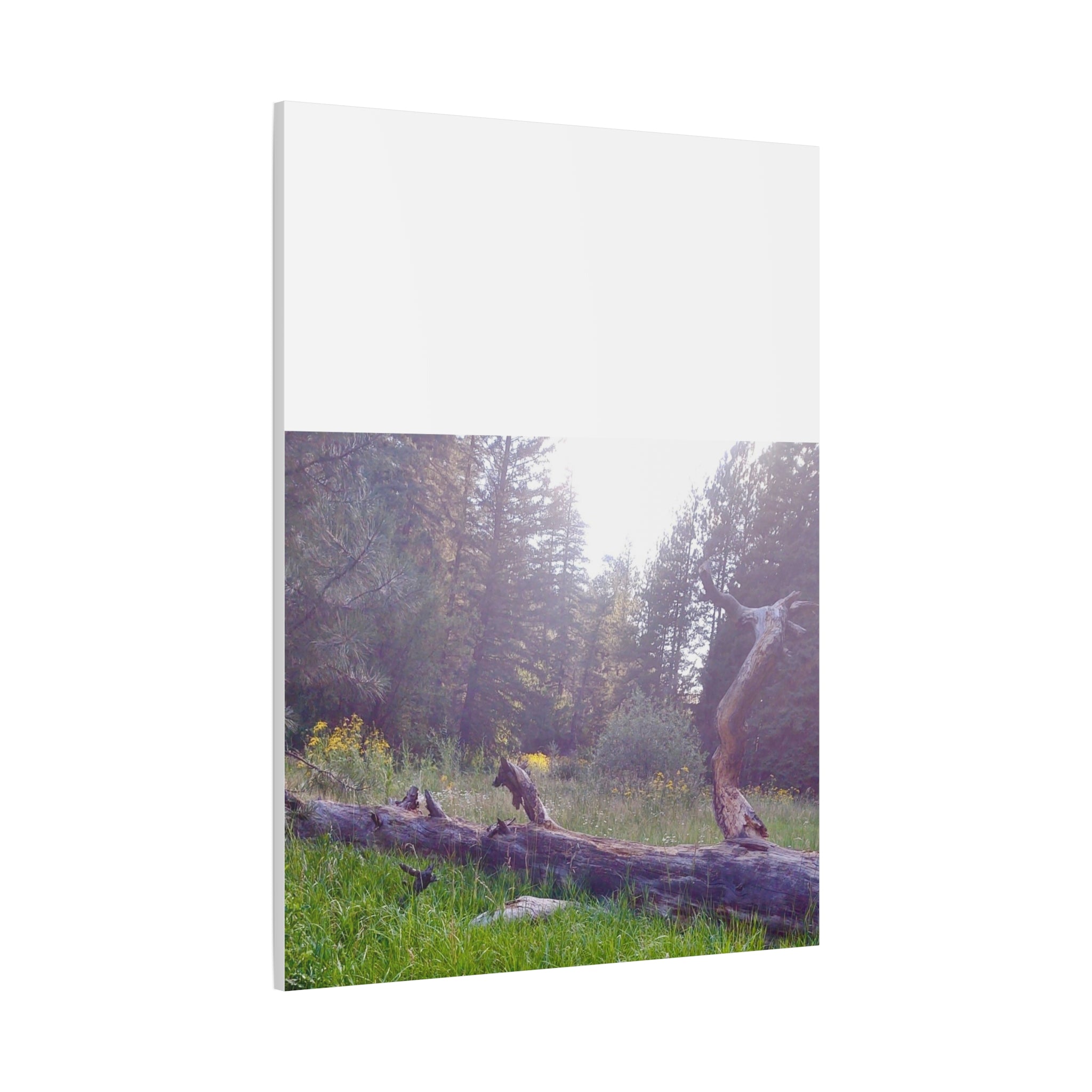 Matte Canvas Wall Art - Serene Nature Scene, Perfect for Home Decor, Gift for Nature Lovers, Office Wall Decoration, Rustic Art Print