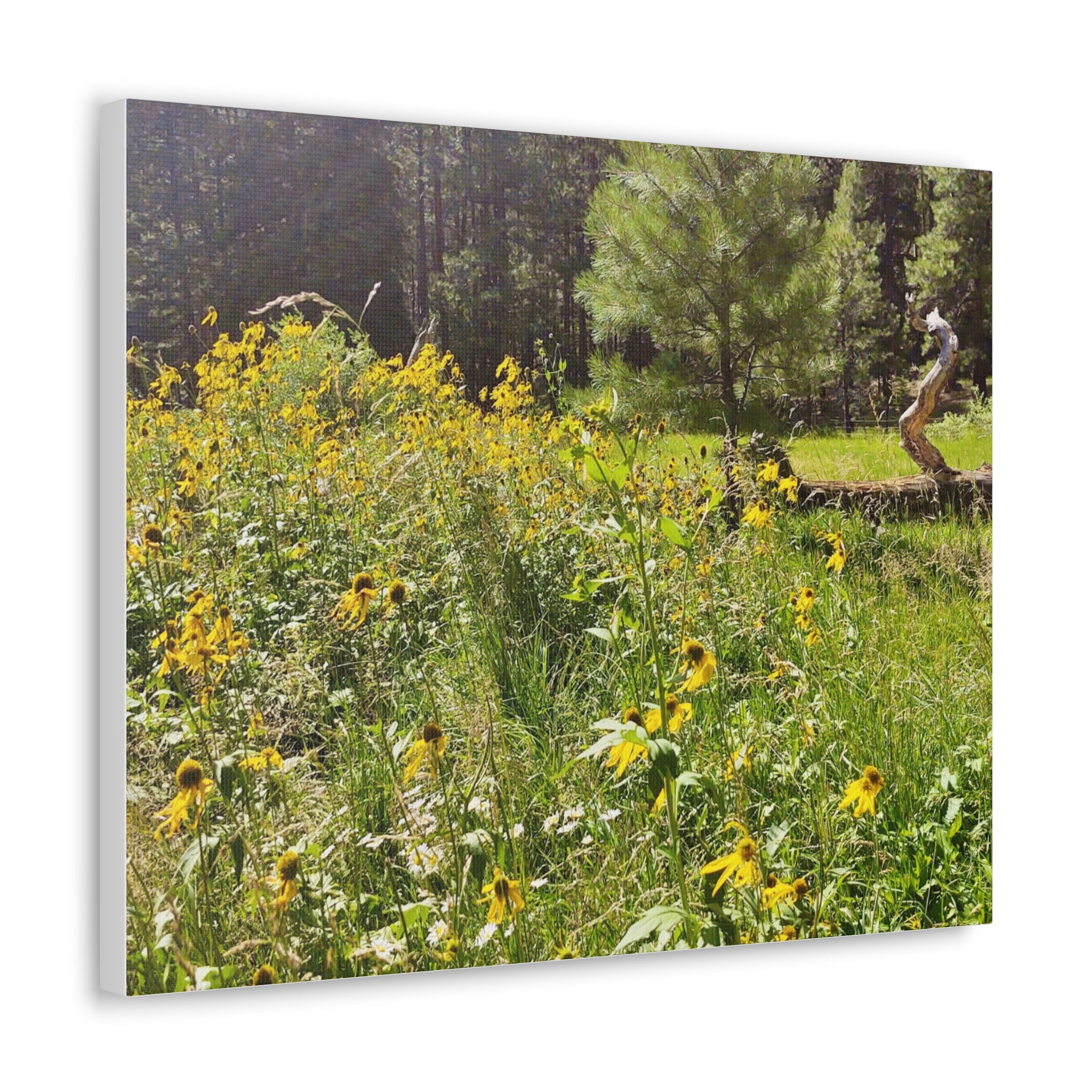 Canvas Wall Art, Nature Photography Decor, Floral Home Decor, Greenery Art Print, Gift for Nature Lovers