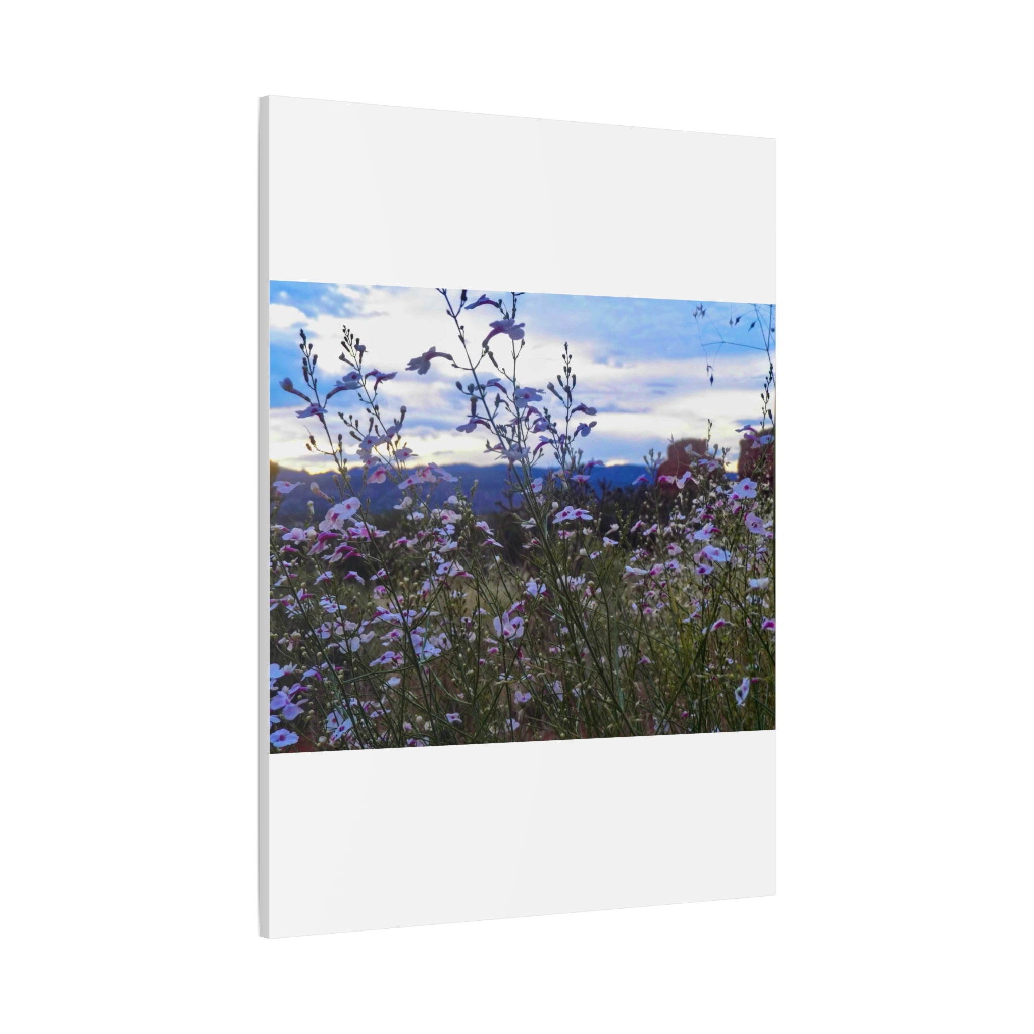 Floral Wall Art Canvas, Nature-Inspired Home Decor, Flower Print, Rustic Living Room, Gift for Gardeners, Boho Wall Art