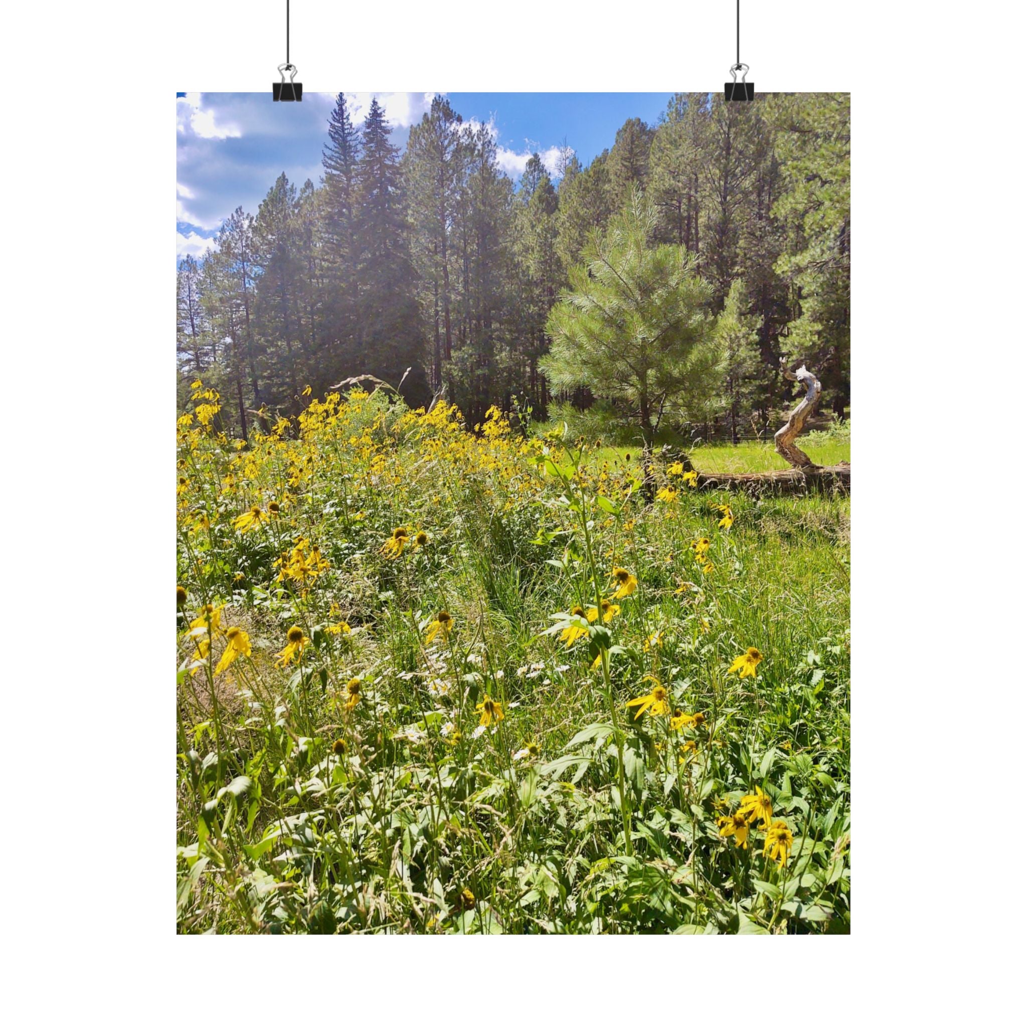 Nature-Inspired Matte Vertical Posters, Floral Wall Art, Home Decor, Gift for Nature Lovers, Botanical Print, Office Decoration