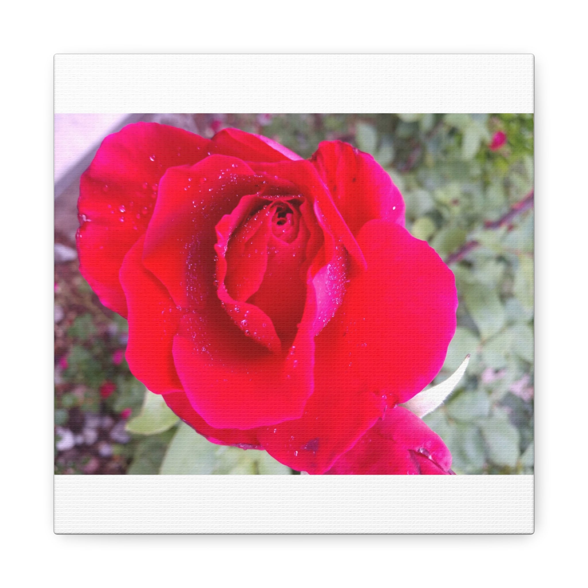 Vibrant Floral Canvas Art, Elegant Wall Decor, Perfect for Home, Gifts, Mother's Day, and Weddings