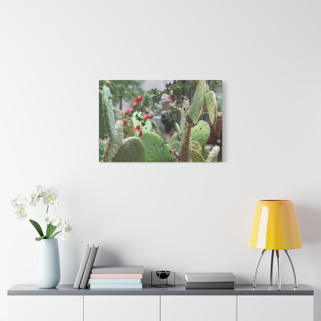 Cactus Artwork Print, Botanical Wall Decor, Succulent Canvas, Nature Lover Gift, Home Decoration