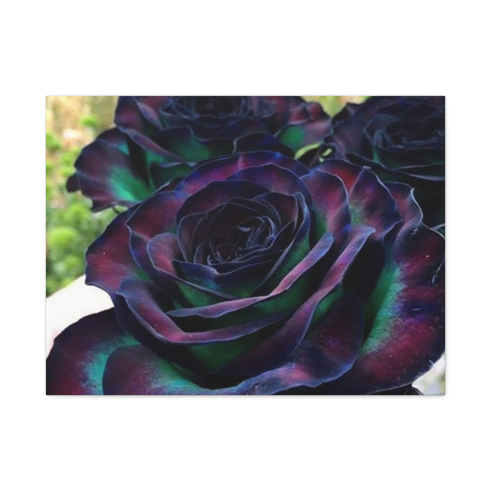 Matte Canvas Wall Art Print of Mystical Roses, Colorful Home Decor, Unique Gift for Art Lovers, Flower Wall Decor, Floral Artwork, [...]