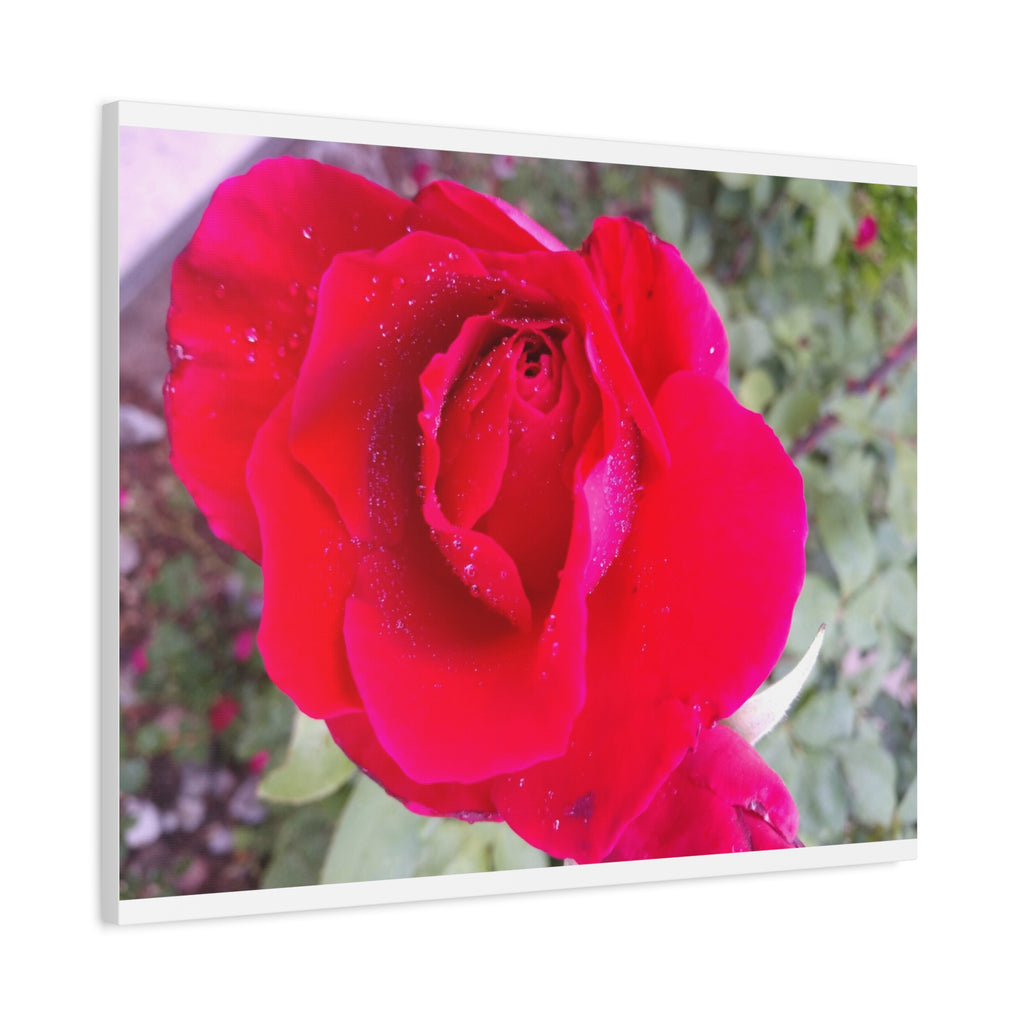 Vibrant Floral Canvas Art, Elegant Wall Decor, Perfect for Home, Gifts, Mother's Day, and Weddings