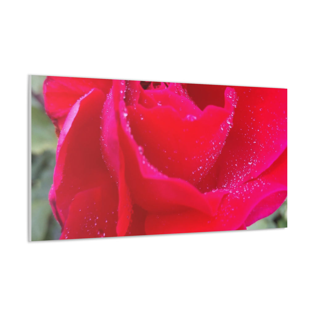 Stunning Floral Canvas Print, Home Decor, Wall Art, Gift for Flower Lovers, Red Rose Art, Mother's Day Gift