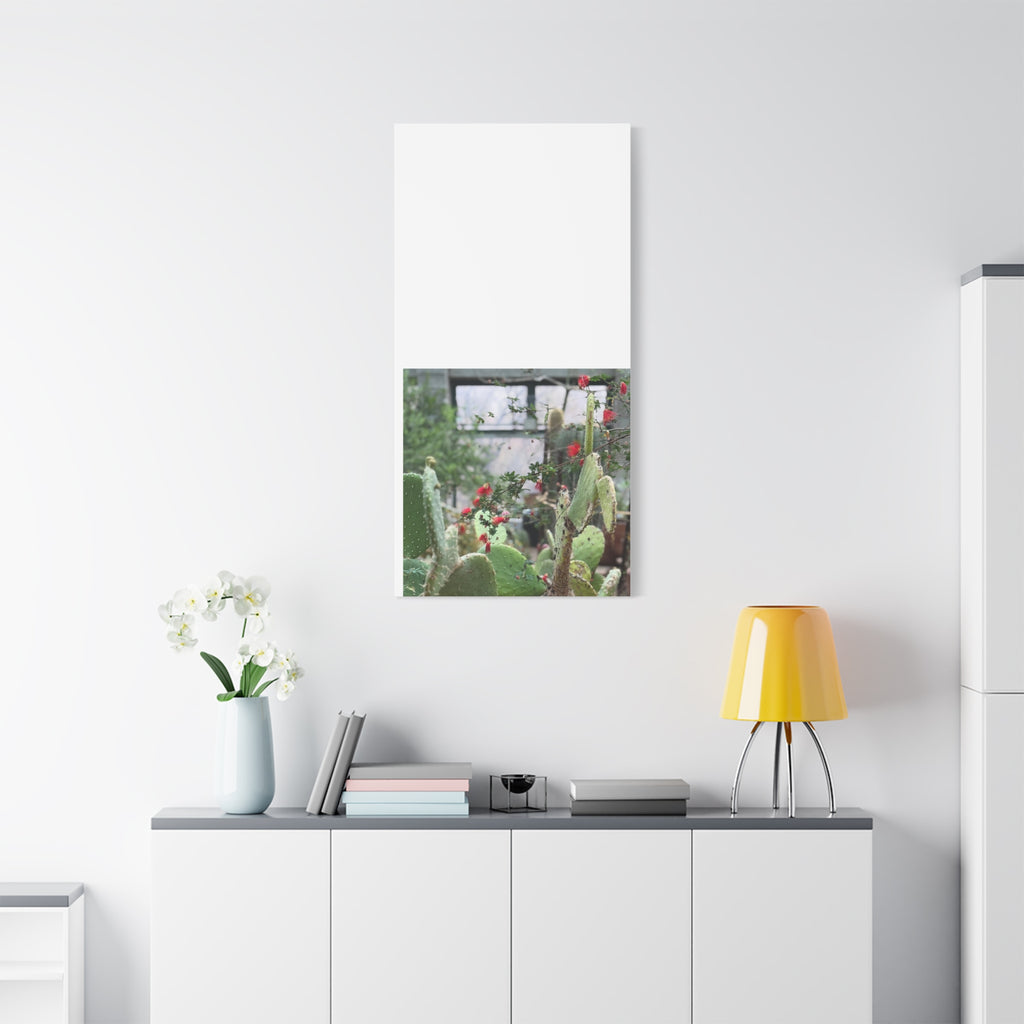 Cactus Wall Art Print, Nature Home Decor, Bohemian Style Artwork, Botanical Gift, Succulent Canvas
