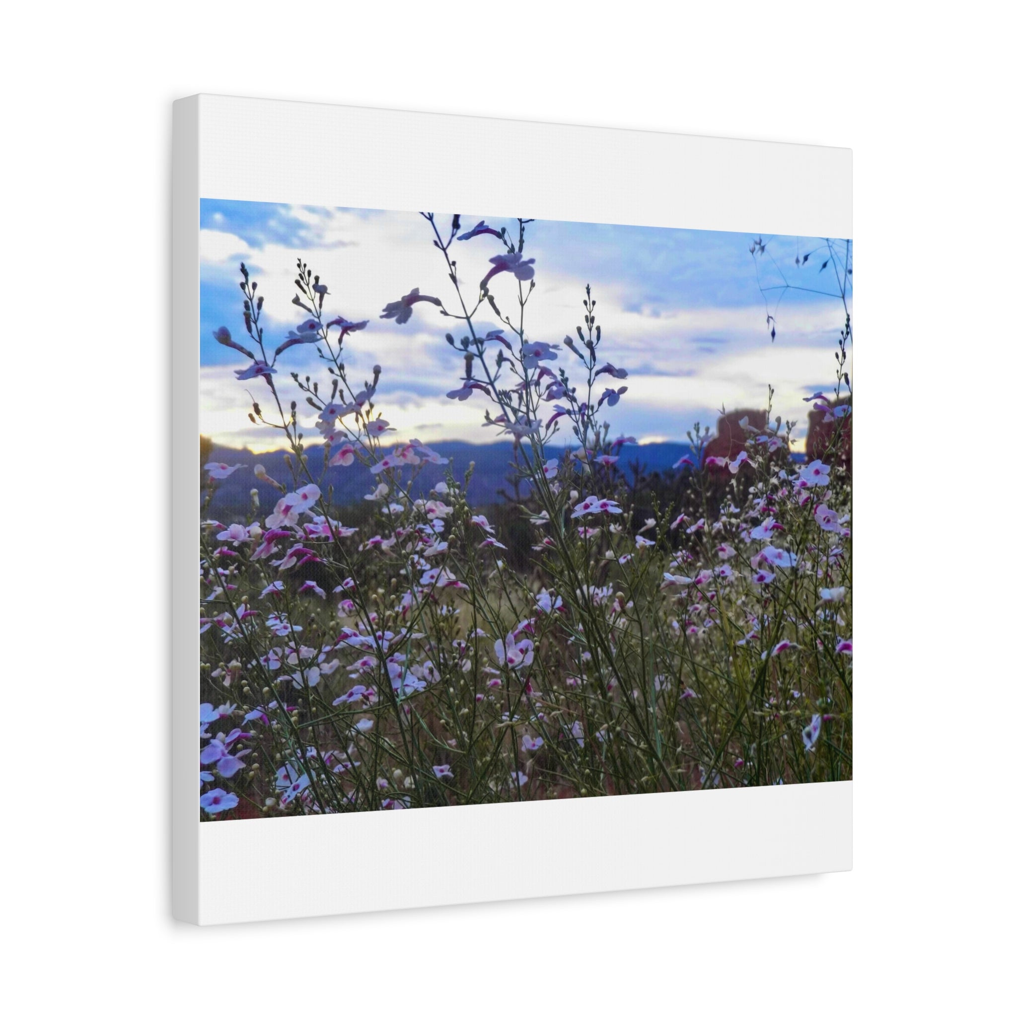 Floral Wall Art Canvas, Nature-Inspired Home Decor, Flower Print, Rustic Living Room, Gift for Gardeners, Boho Wall Art