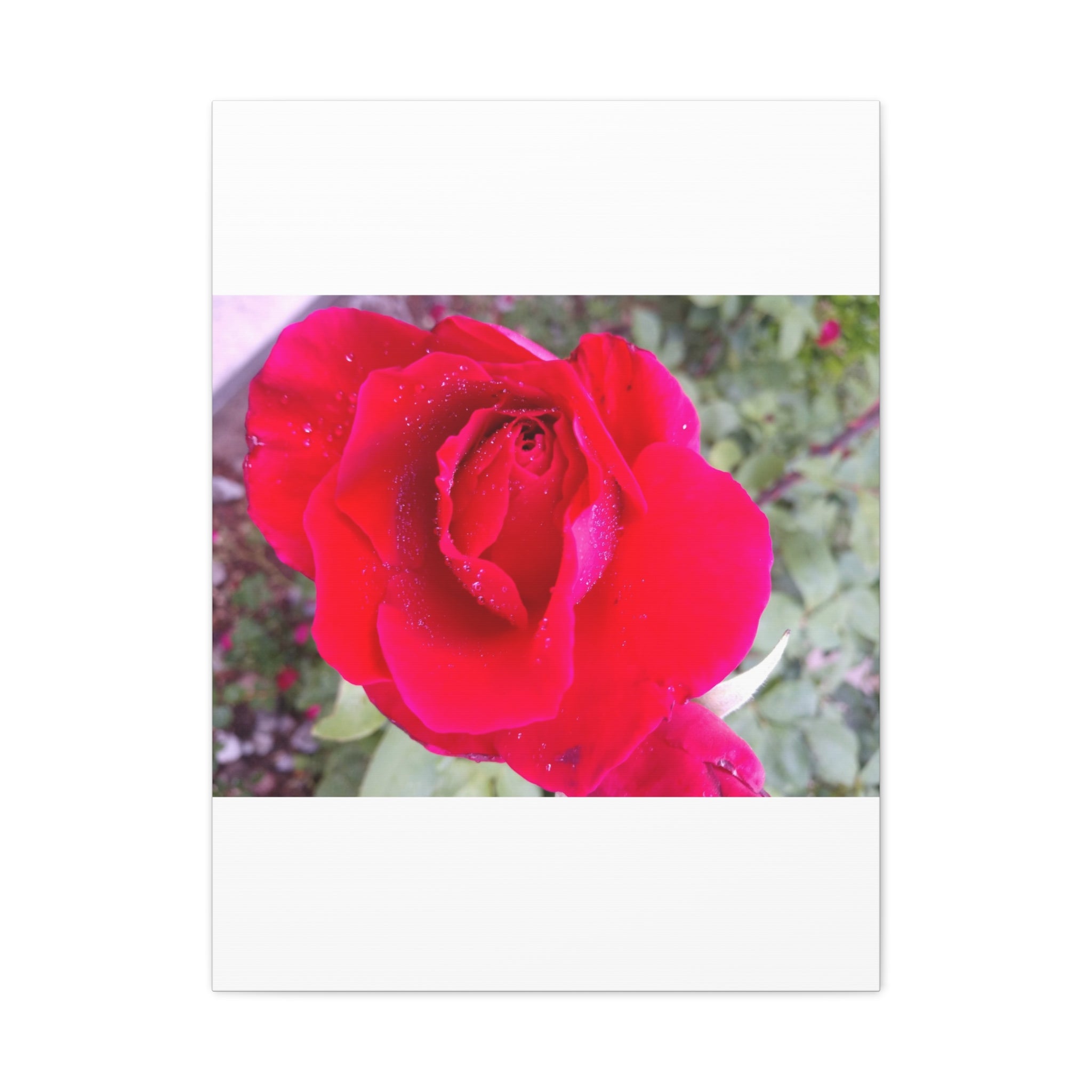 Vibrant Floral Canvas Art, Elegant Wall Decor, Perfect for Home, Gifts, Mother's Day, and Weddings