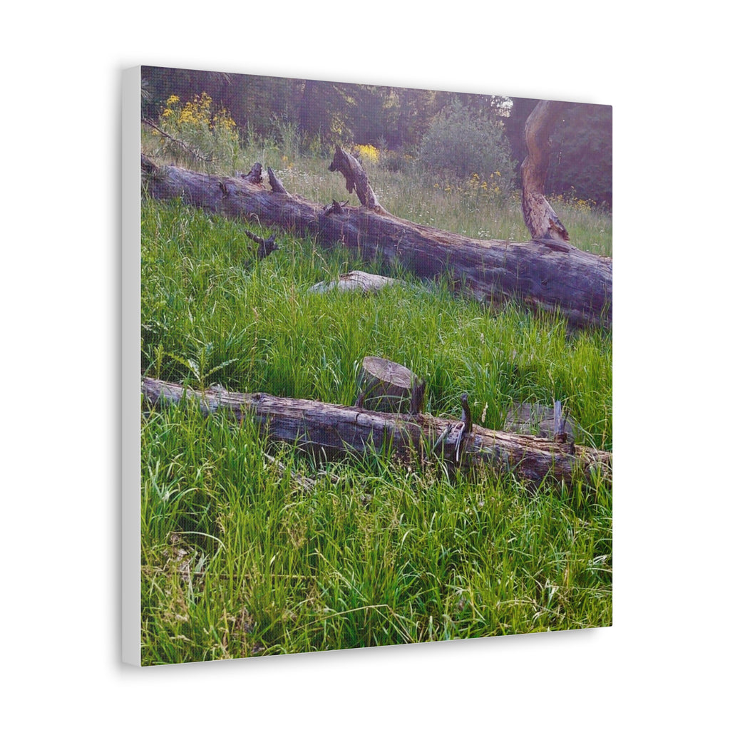 Classic Canvas Wall Art - Nature Decor, Outdoor Wall Hanging, Home Aesthetic, Gift for Nature Lovers, Rustic Cabin Decor