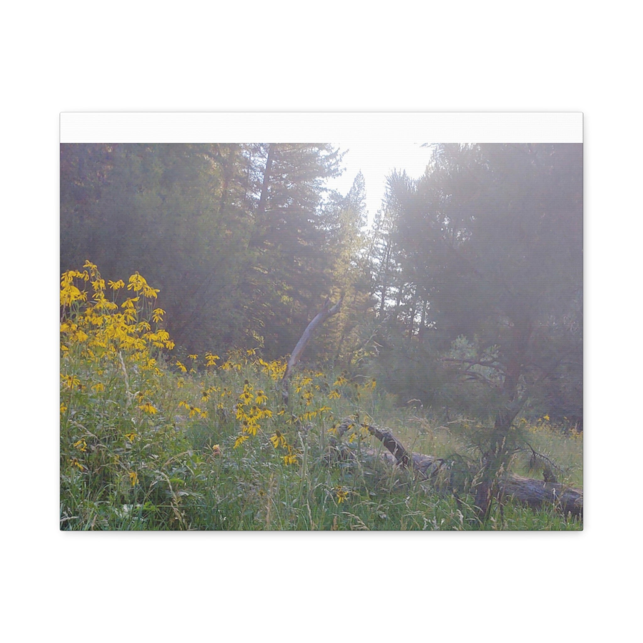 Matte Canvas, Stretched, 1.25"