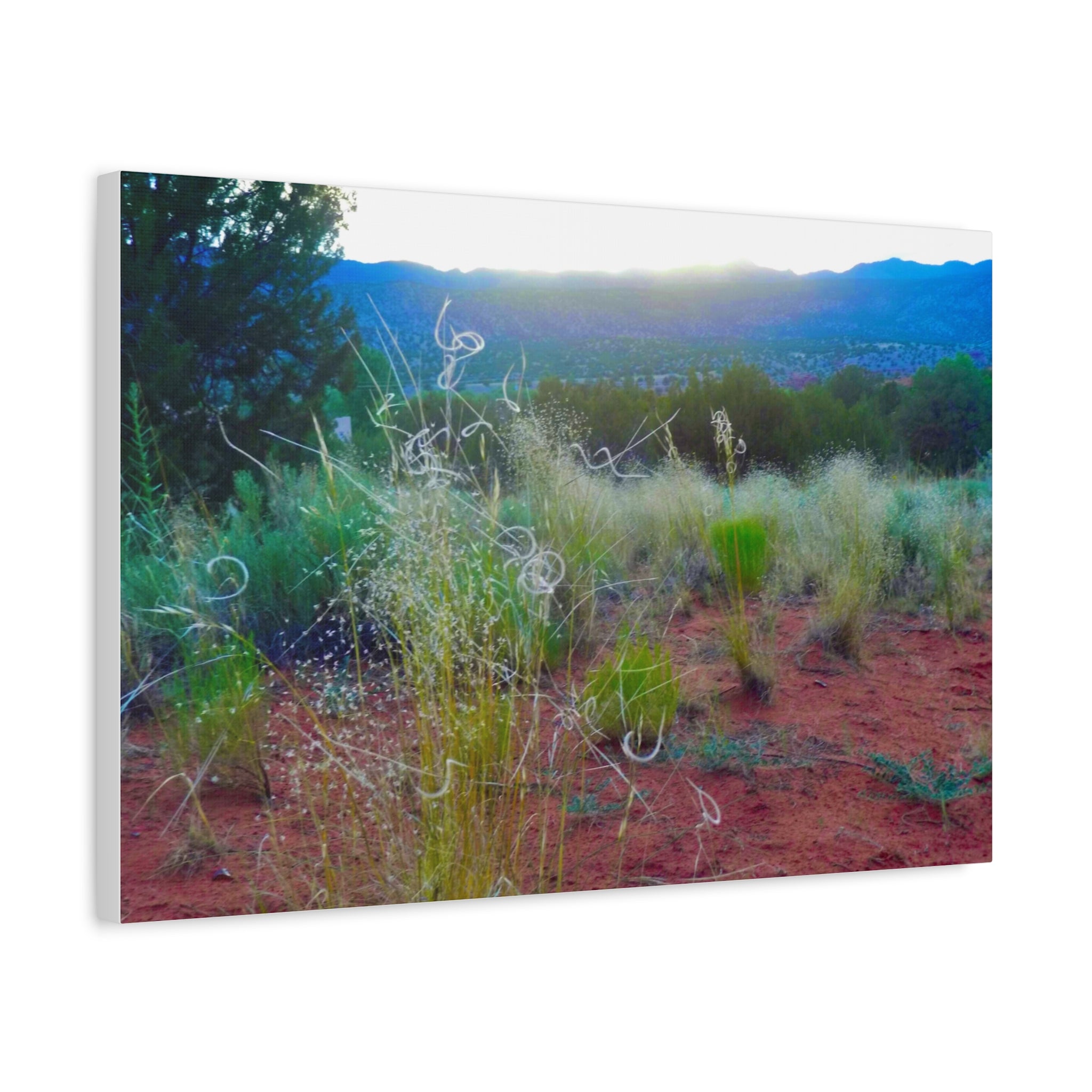 Stretched Canvas Art Print, Nature Wall Decor, Boho Home Decor, Rustic Landscape Art, Gift for Nature Lovers
