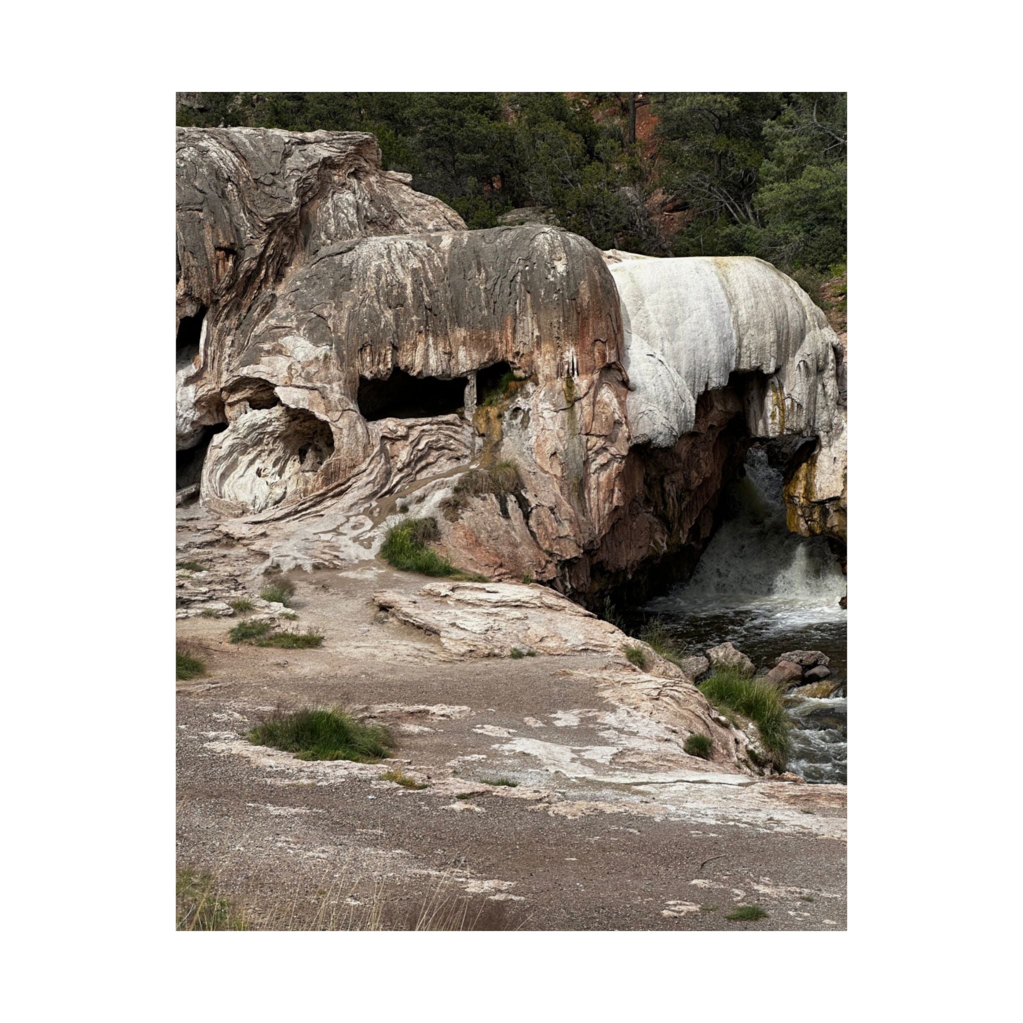 Nature-Inspired Matte Vertical Poster, Landscape Wall Art, Home Decor, Unique Gift, Rustic Vibe, Earthy Aesthetic