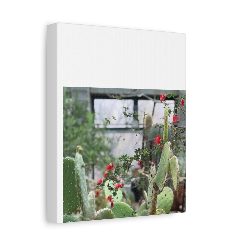 Cactus Wall Art Print, Nature Home Decor, Bohemian Style Artwork, Botanical Gift, Succulent Canvas