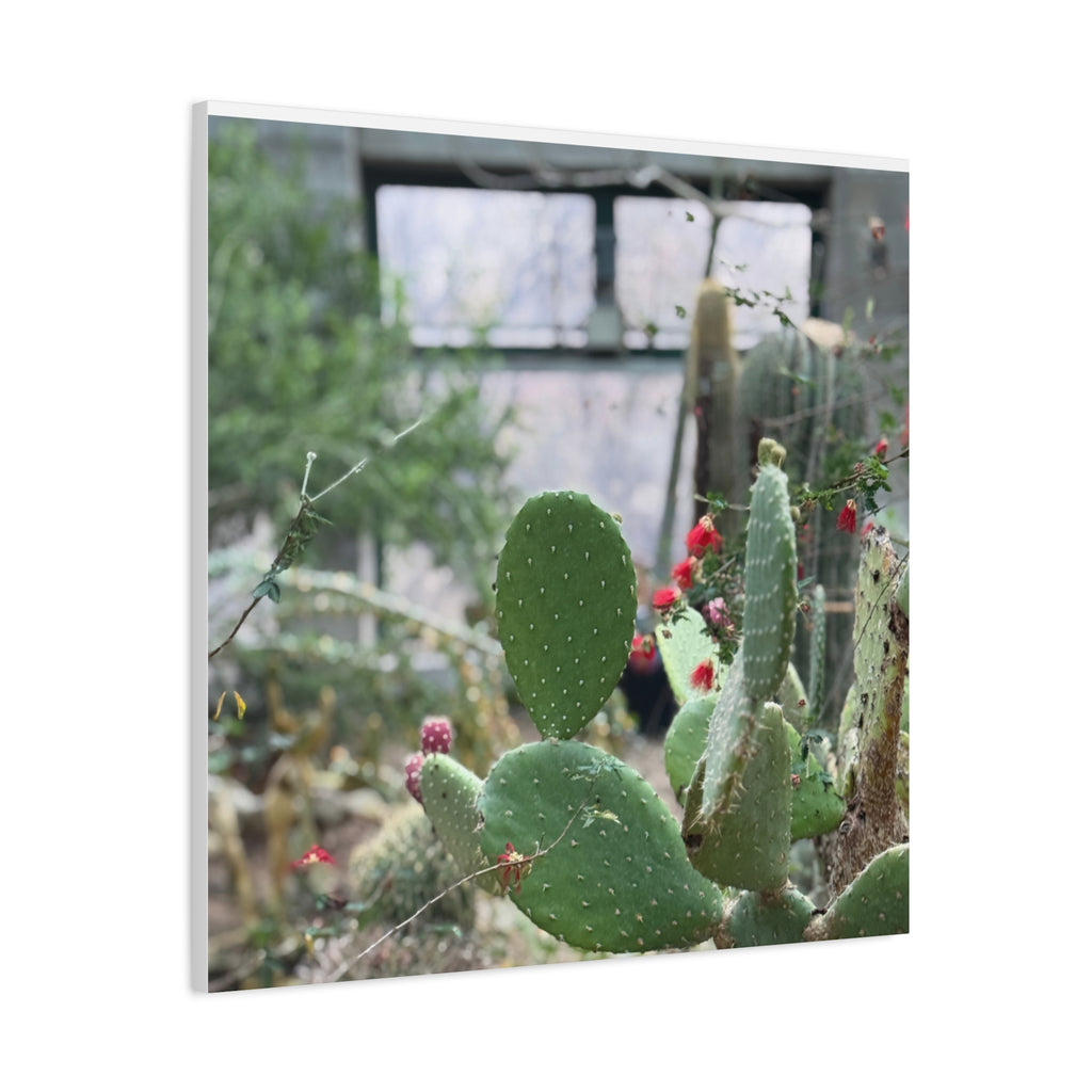 Cactus Matte Canvas Wall Art, Nature Decor, Southwestern Room Design, Green Plant Prints, Home and Office Wall Decor