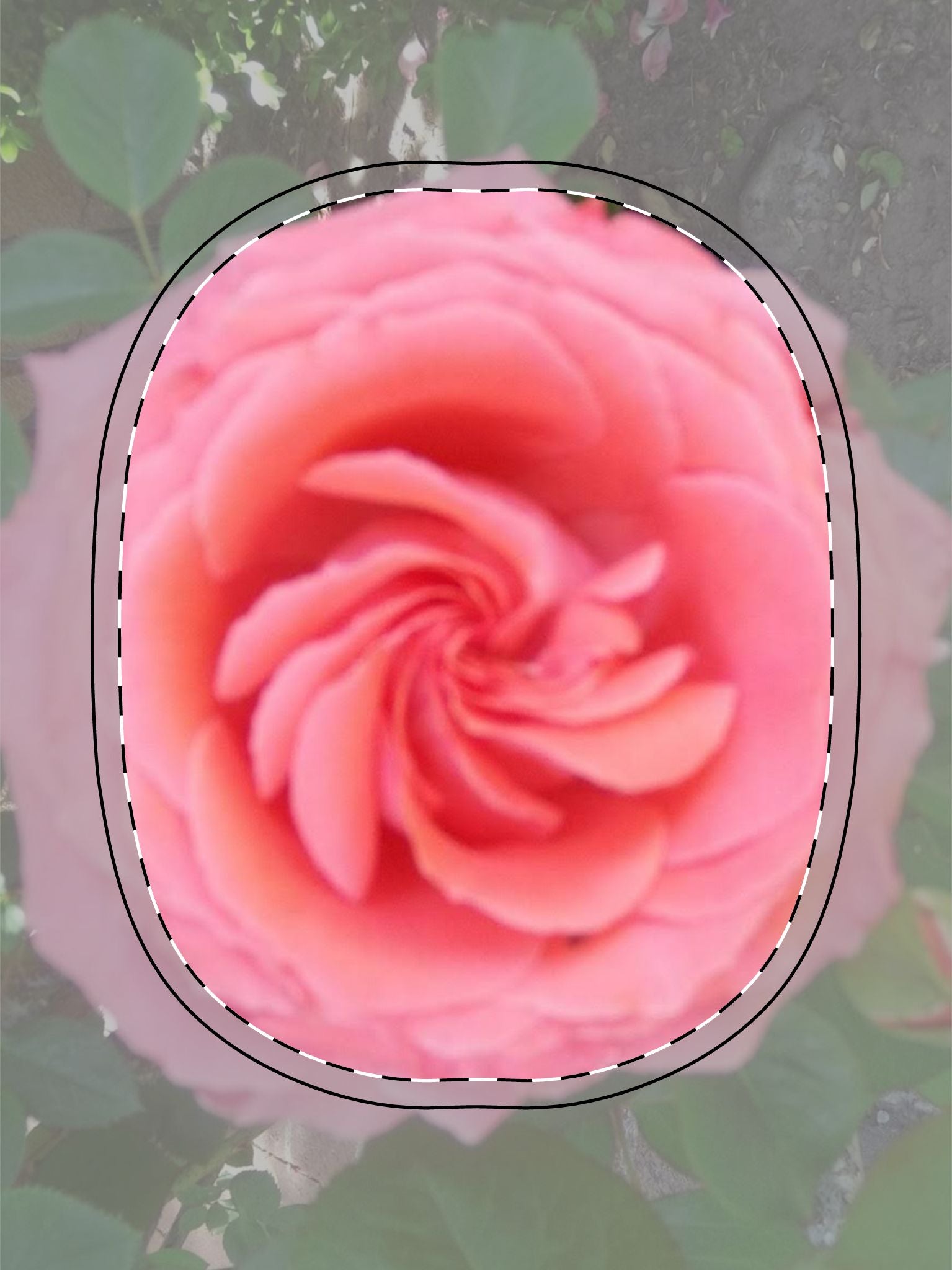 Stylish AirPods Max Shell Case - Floral Design, Gift for Music Lovers, Travel Accessory, Flower Print Cover, Personalized Earphone Case