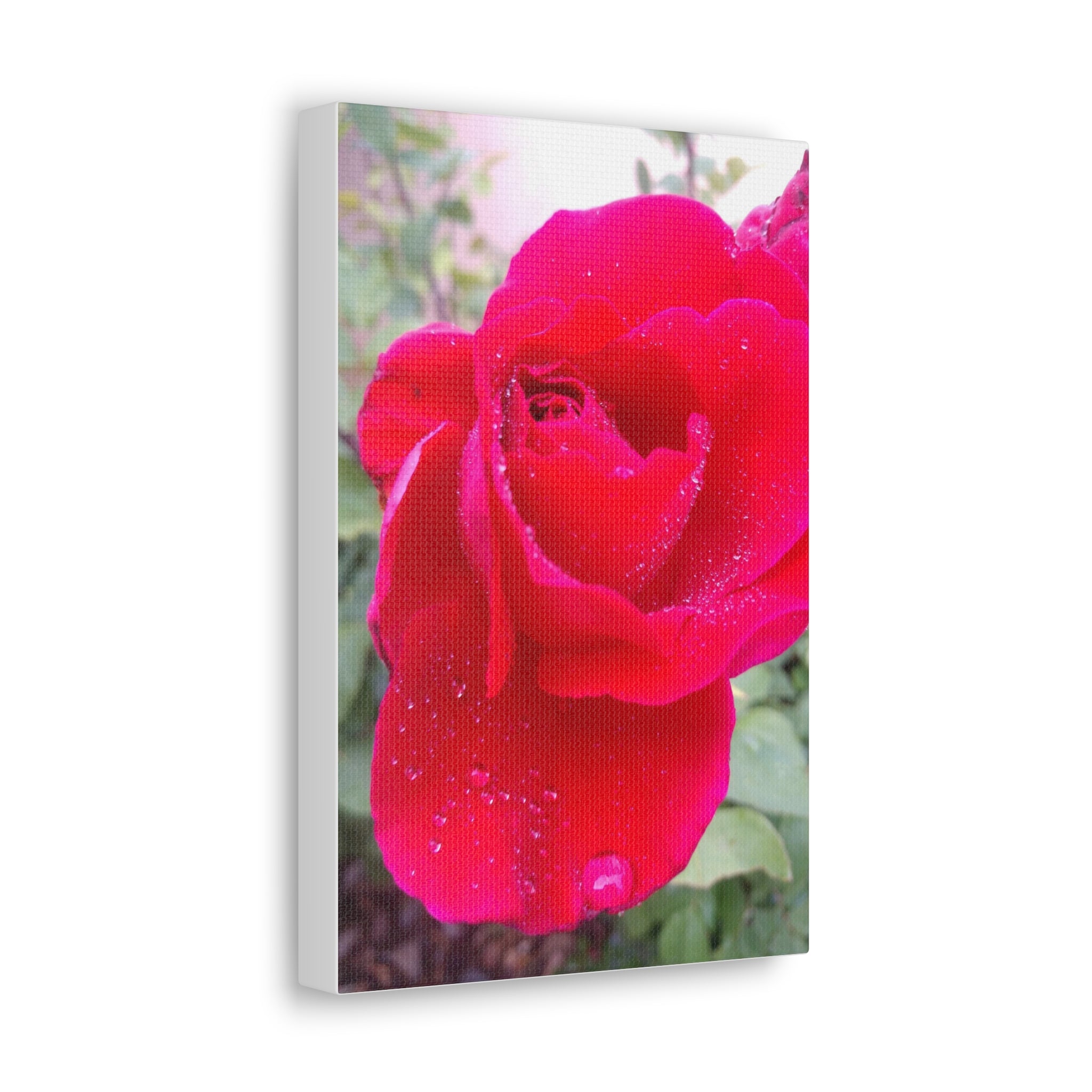 Stunning Floral Canvas Print, Home Decor, Wall Art, Gift for Flower Lovers, Red Rose Art, Mother's Day Gift
