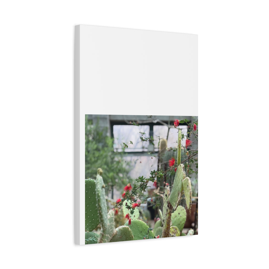 Cactus Wall Art Print, Nature Home Decor, Bohemian Style Artwork, Botanical Gift, Succulent Canvas