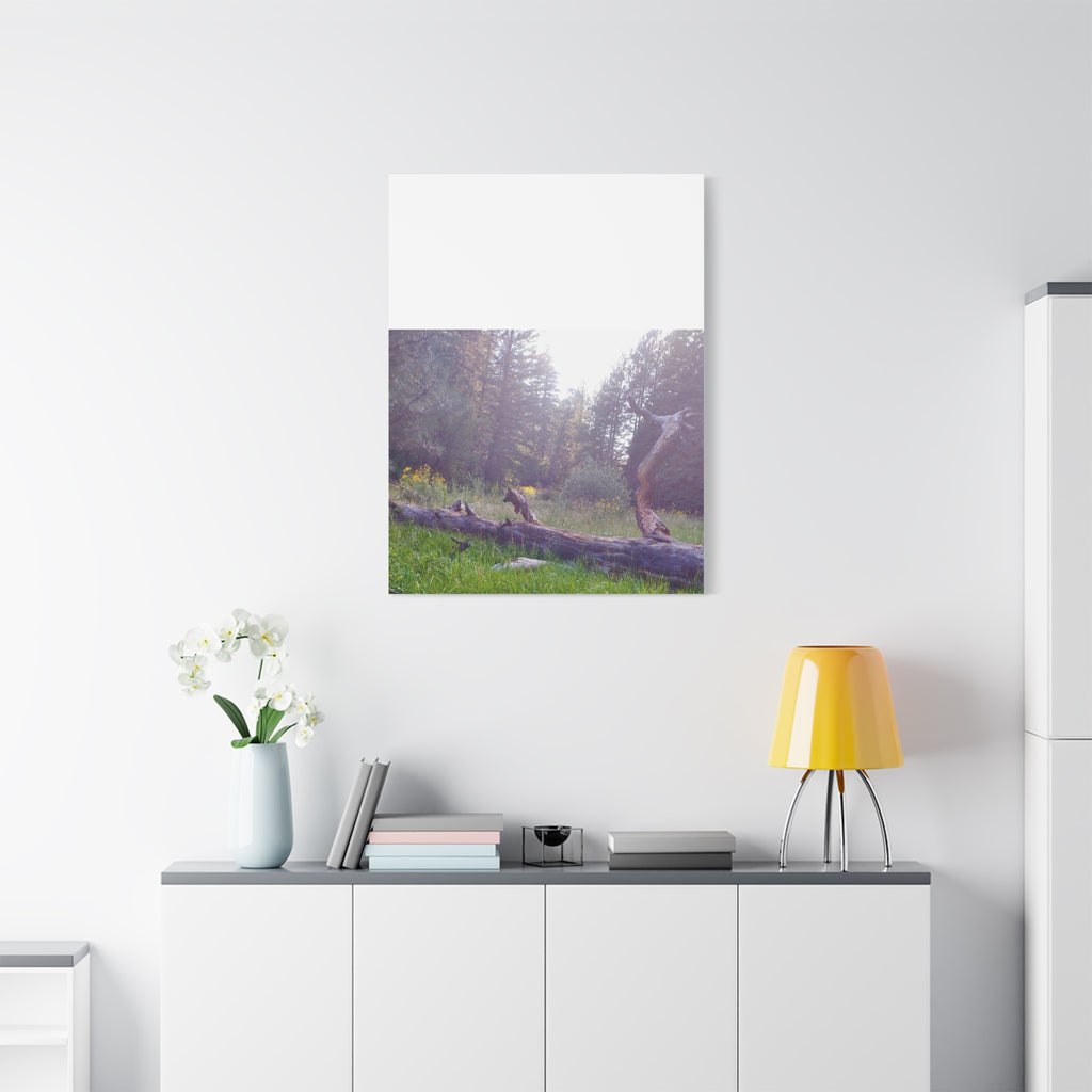 Matte Canvas Wall Art - Serene Nature Scene, Perfect for Home Decor, Gift for Nature Lovers, Office Wall Decoration, Rustic Art Print